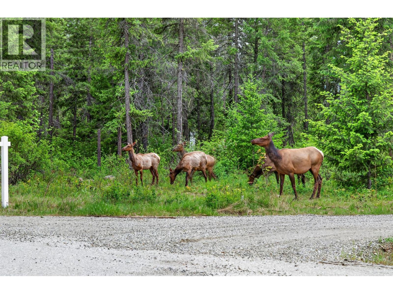 Lot 14 Caitlin Road, Christina Lake, British Columbia  V0H 1E0 - Photo 21 - 10401941