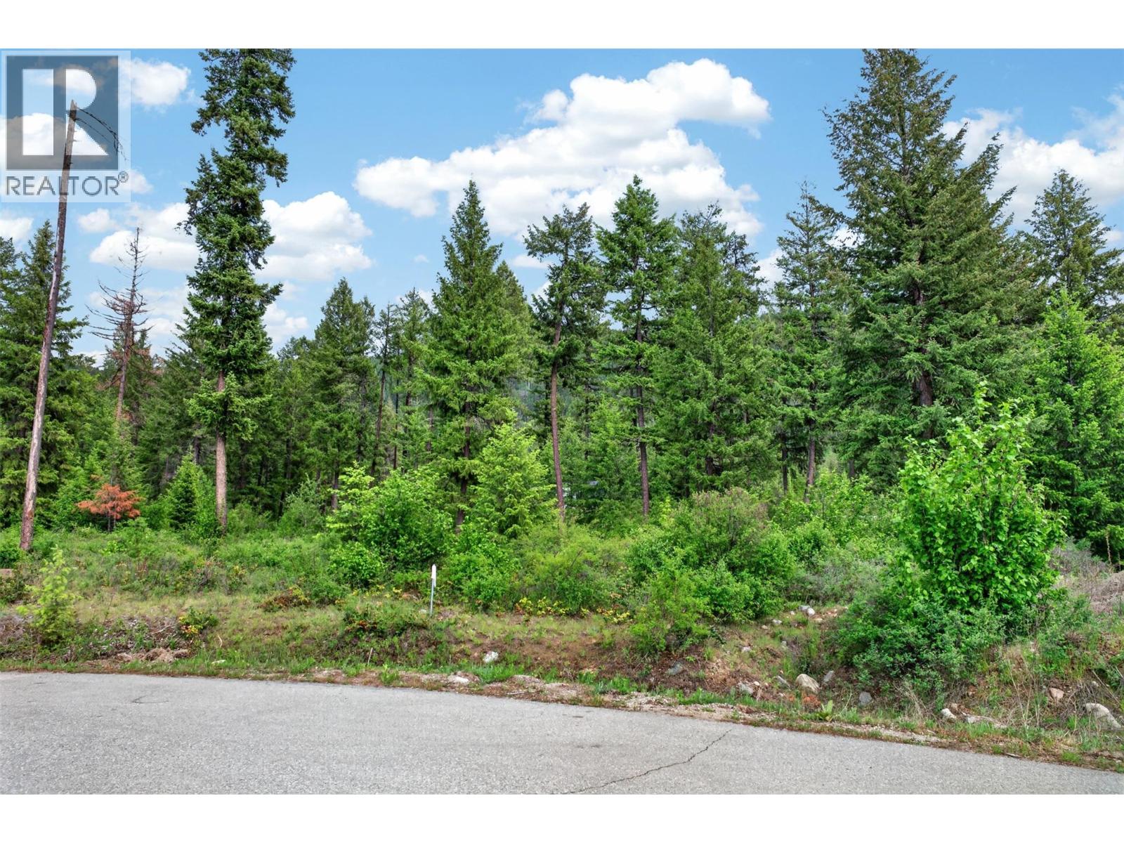 Lot 14 Caitlin Road, Christina Lake, British Columbia  V0H 1E0 - Photo 6 - 10401941