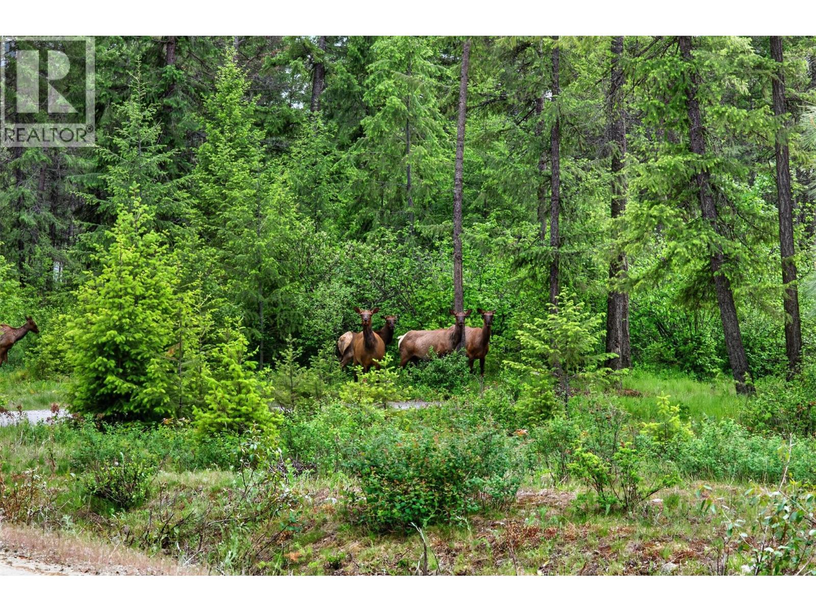 Lot 14 Caitlin Road, Christina Lake, British Columbia  V0H 1E0 - Photo 7 - 10401941