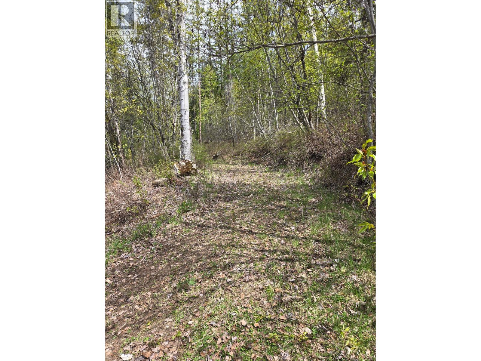 395 Boven Road, Nelson, British Columbia  V1L 6J1 - Photo 89 - 10385419