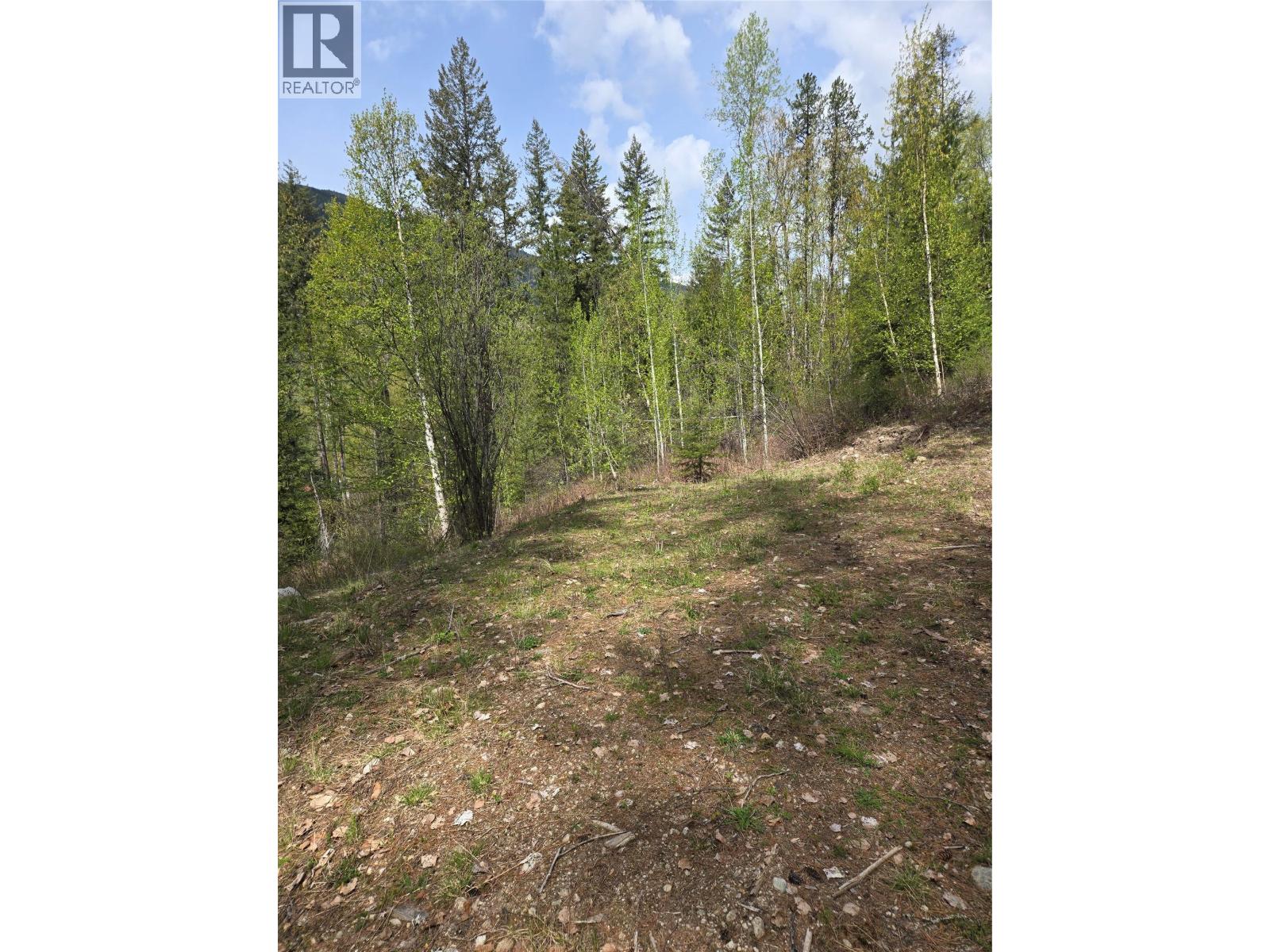 395 Boven Road, Nelson, British Columbia  V1L 6J1 - Photo 90 - 10385419