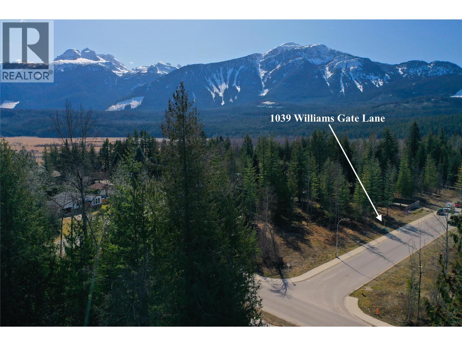 1039 Williams Gate Lane, Revelstoke, British Columbia  V0E 2S1 - Photo 4 - 10402129