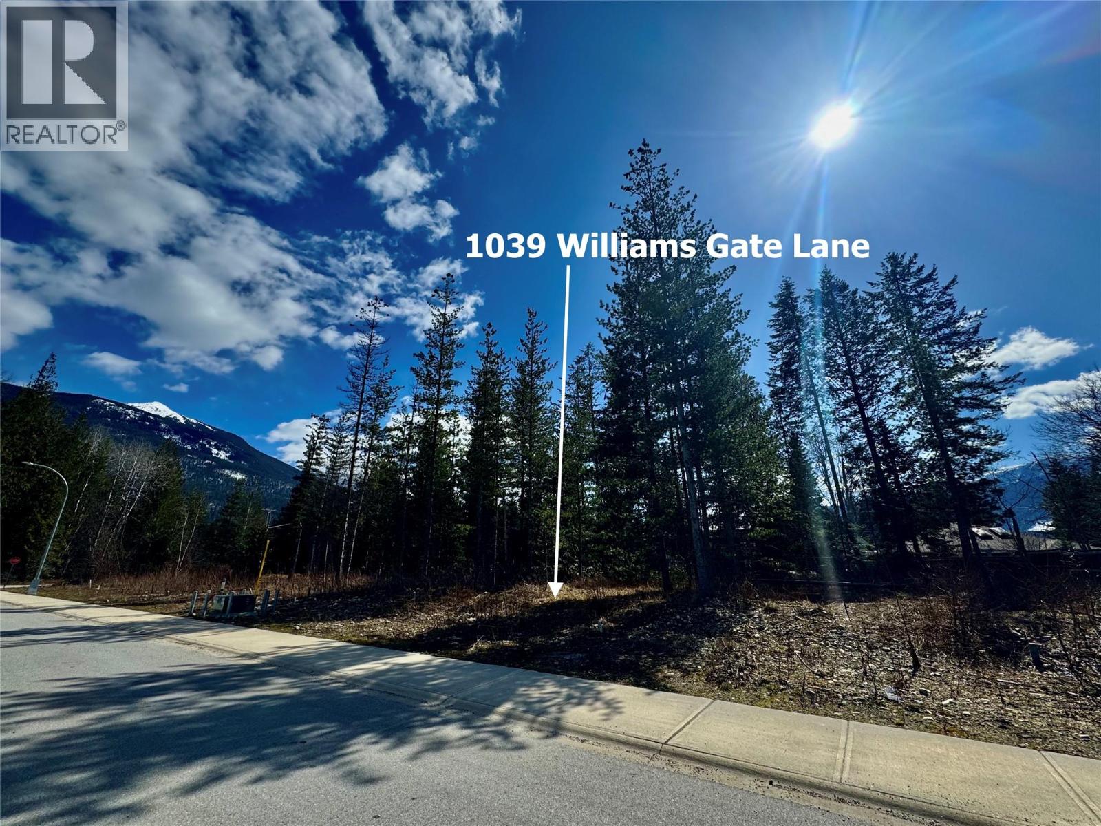 1039 Williams Gate Lane, Revelstoke, British Columbia  V0E 2S1 - Photo 6 - 10402129