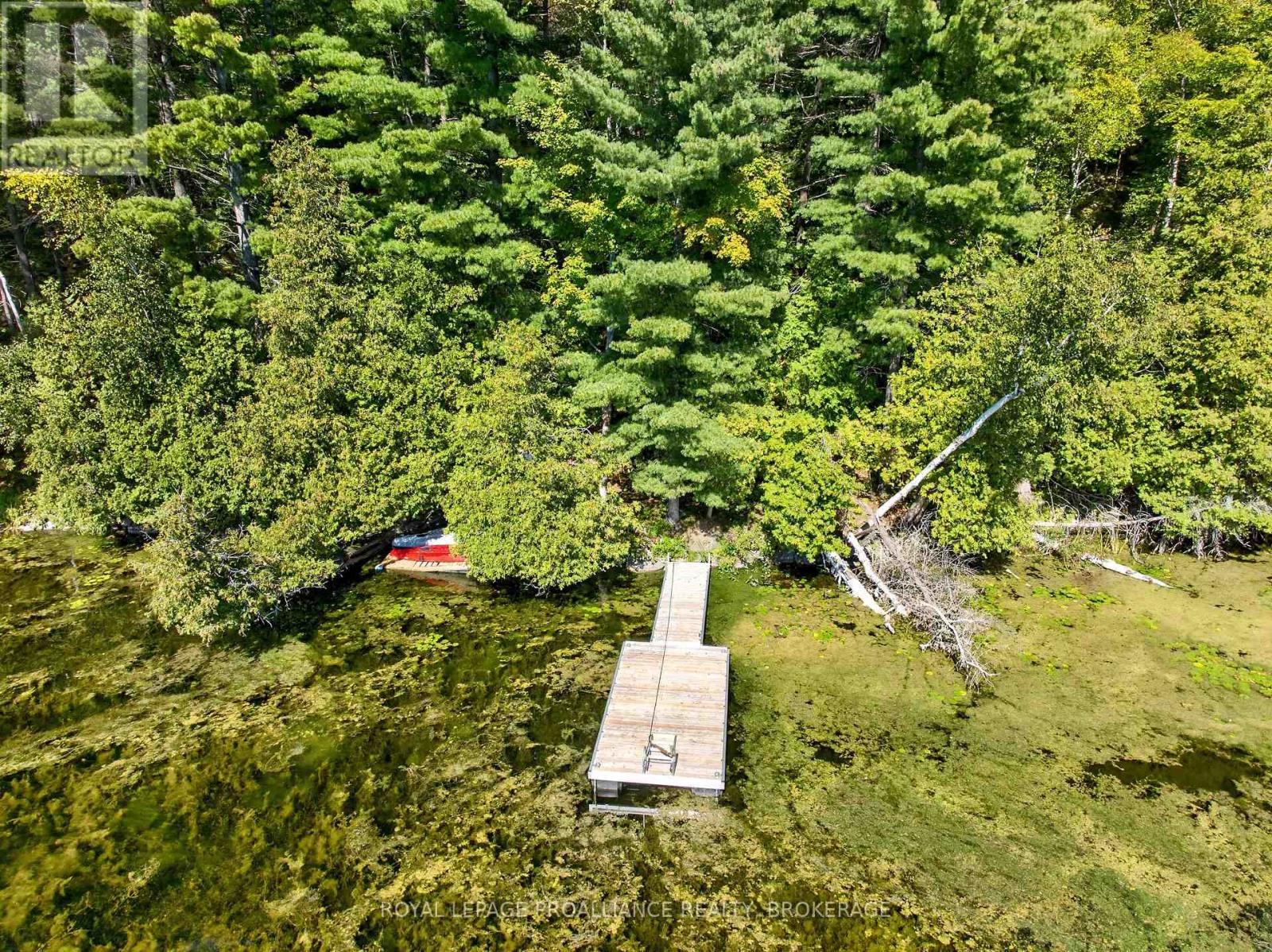 1057 Forest Lane, Frontenac, Ontario  K0H 2P0 - Photo 14 - X13837484