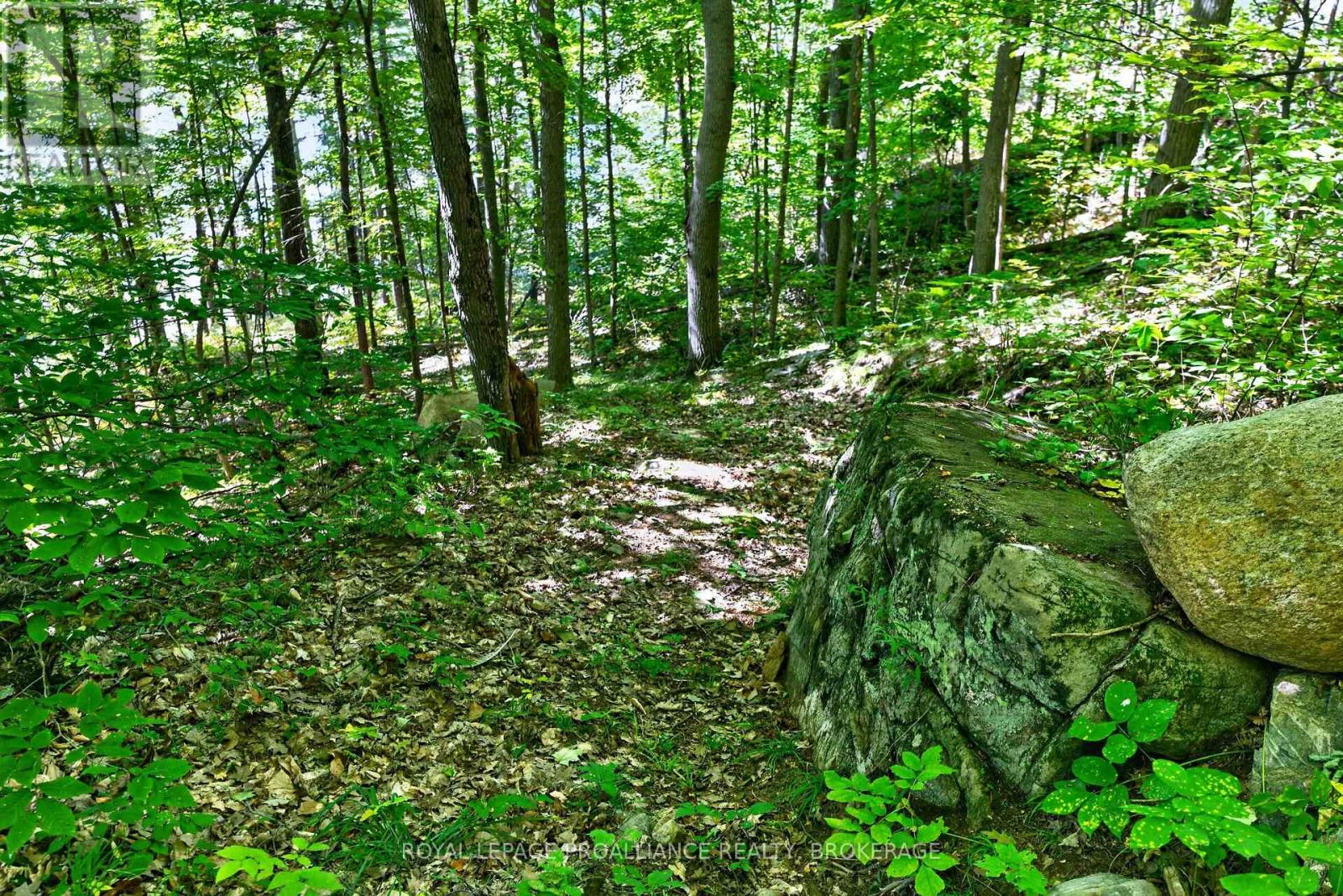 1057 Forest Lane, Frontenac, Ontario  K0H 2P0 - Photo 7 - X13837484
