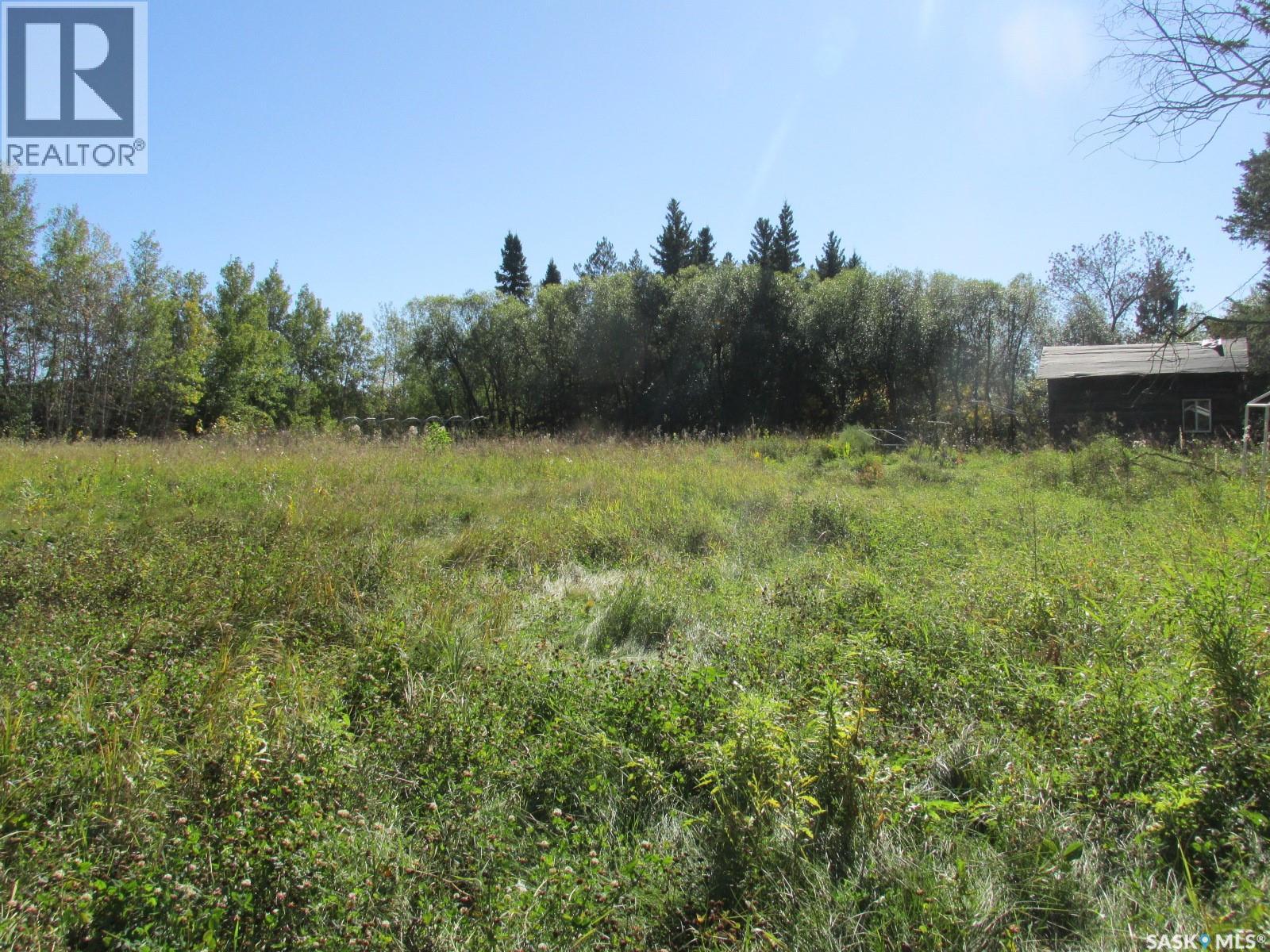 503 Main Street, Torch River Rm No. 488, Saskatchewan  S0J 2K0 - Photo 43 - SK049701