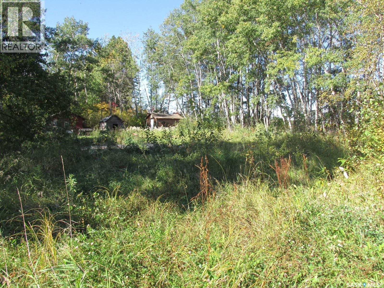 503 Main Street, Torch River Rm No. 488, Saskatchewan  S0J 2K0 - Photo 44 - SK049701