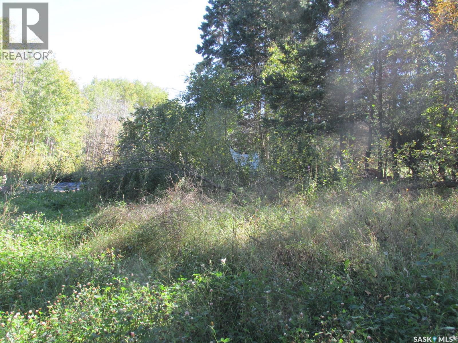 503 Main Street, Torch River Rm No. 488, Saskatchewan  S0J 2K0 - Photo 45 - SK049701