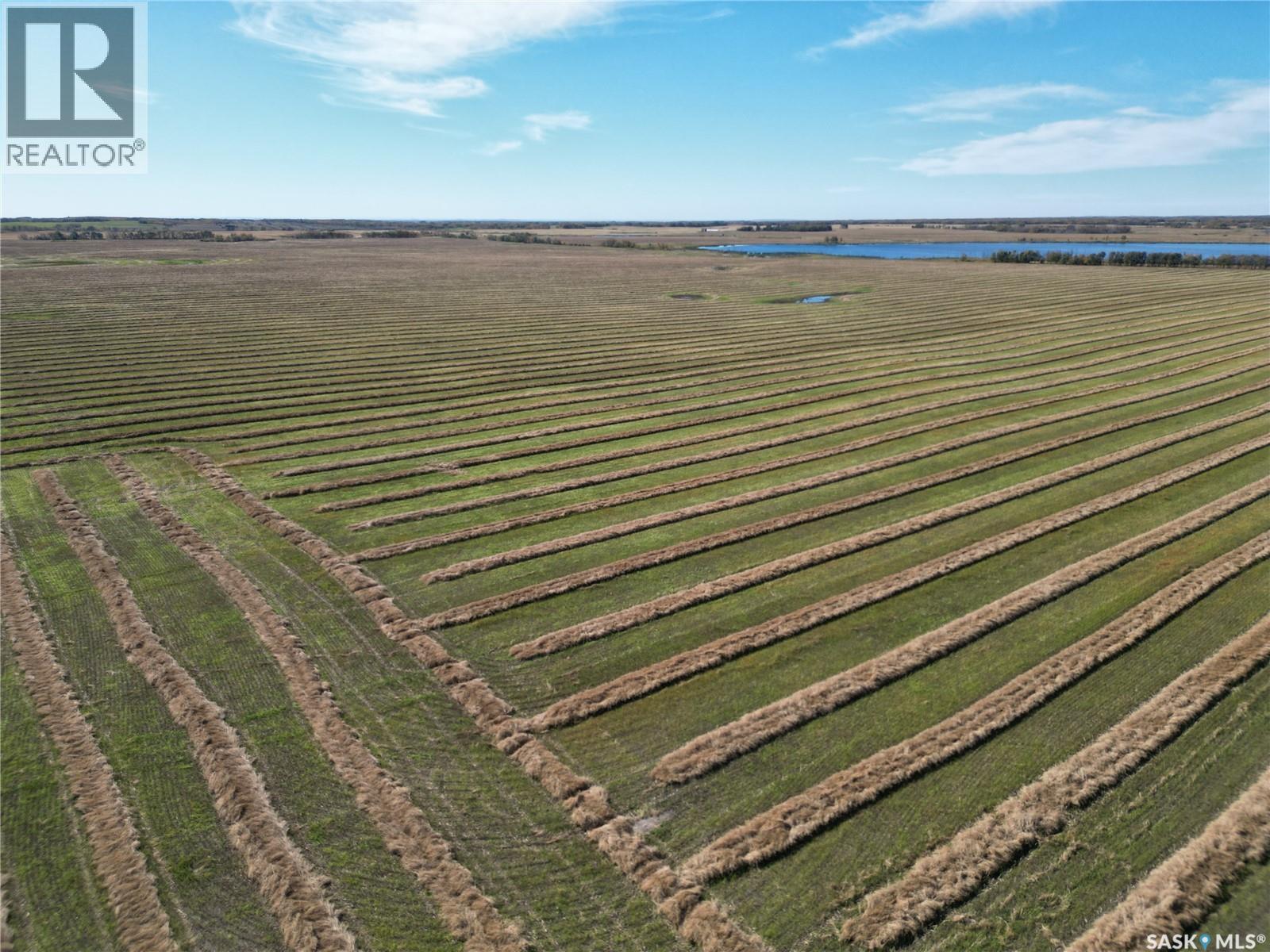 Hildebrand Farm Land, Round Hill Rm No. 467, Saskatchewan  S0M 2L0 - Photo 10 - SK049800