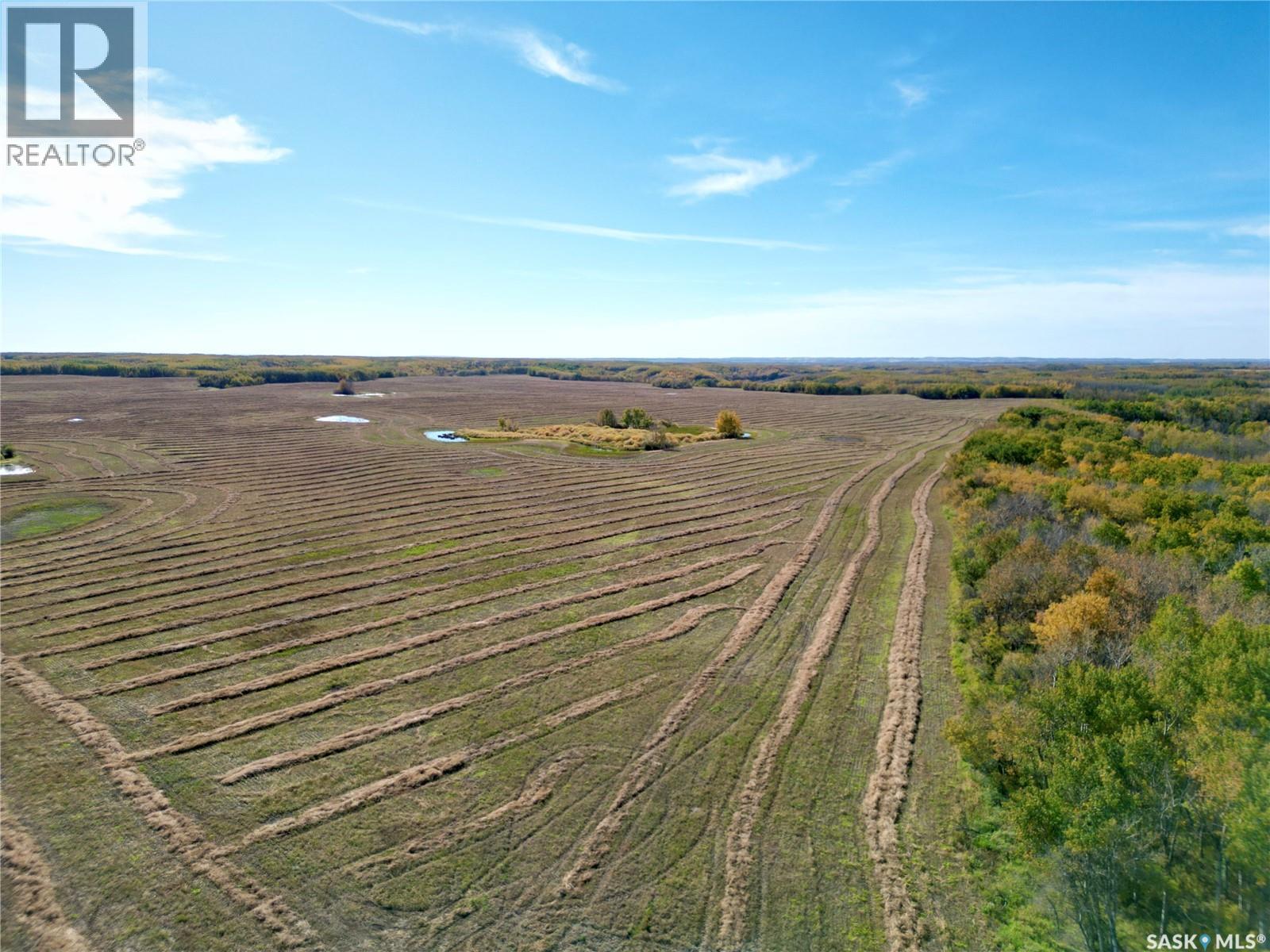 Hildebrand Farm Land, Round Hill Rm No. 467, Saskatchewan  S0M 2L0 - Photo 24 - SK049800
