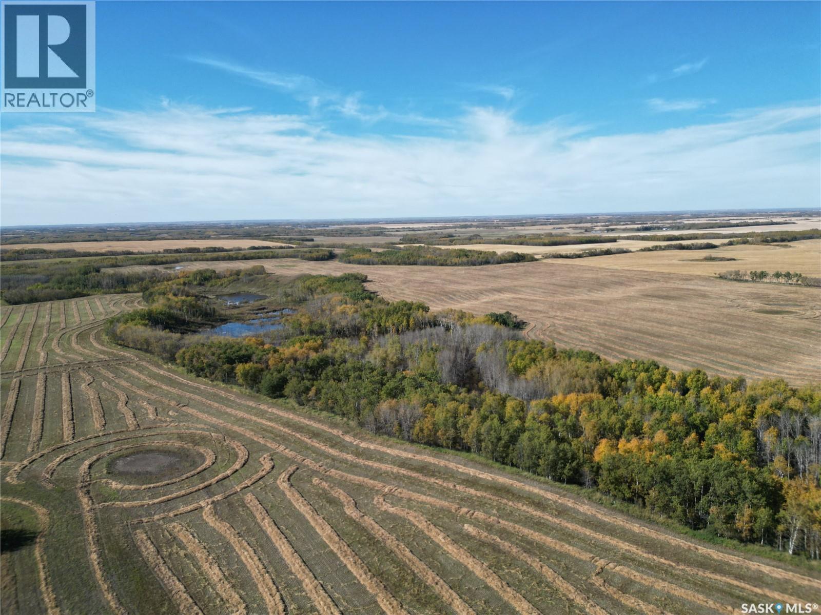 Hildebrand Farm Land, Round Hill Rm No. 467, Saskatchewan  S0M 2L0 - Photo 22 - SK049800