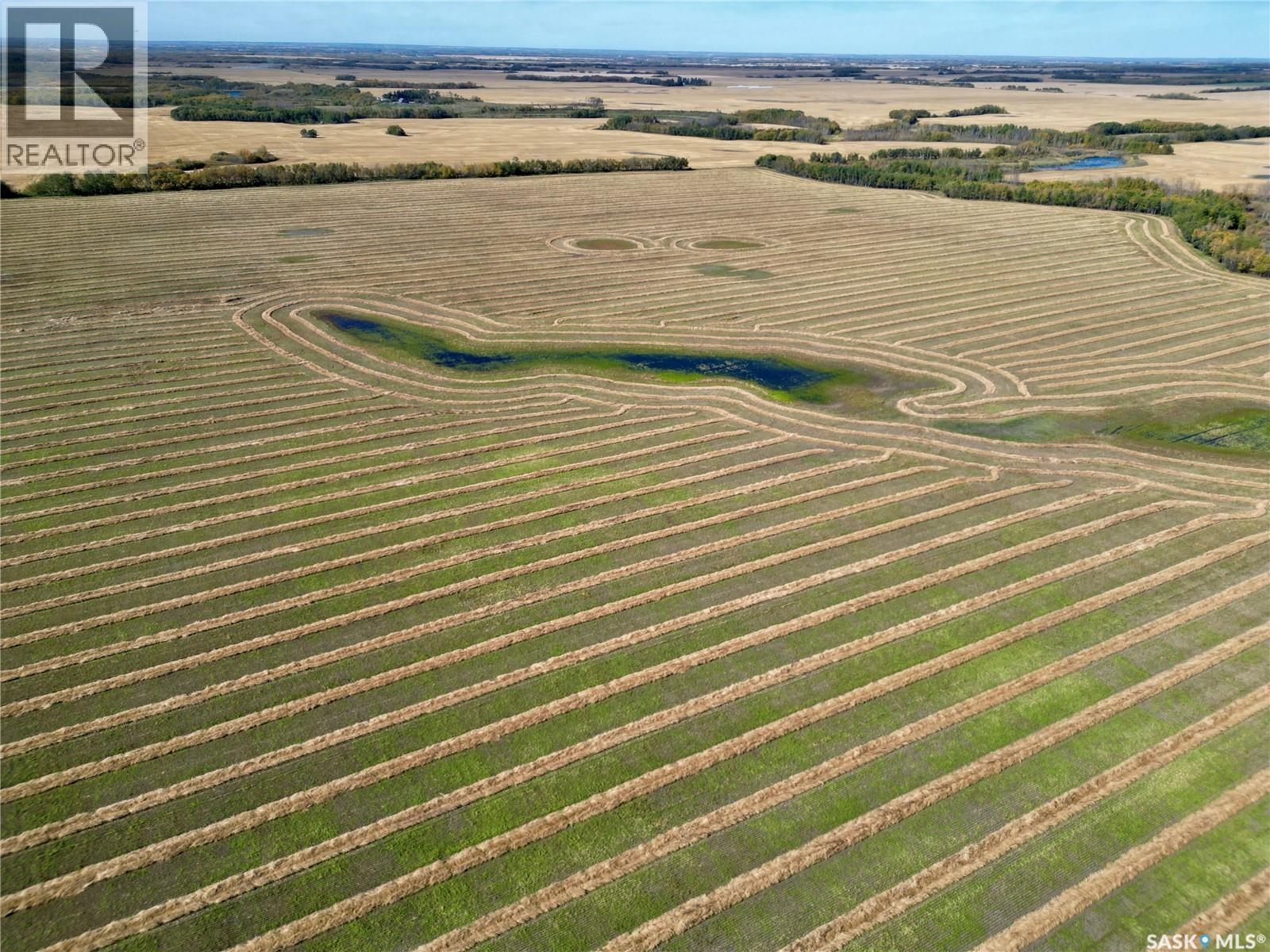 Hildebrand Farm Land, Round Hill Rm No. 467, Saskatchewan  S0M 2L0 - Photo 15 - SK049800