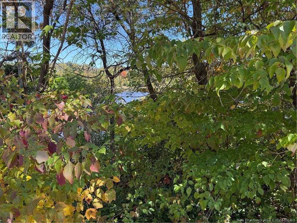 <h3>$28,900</h3><p>33 Bath Ferry Road, Wicklow, New Brunswick</p>