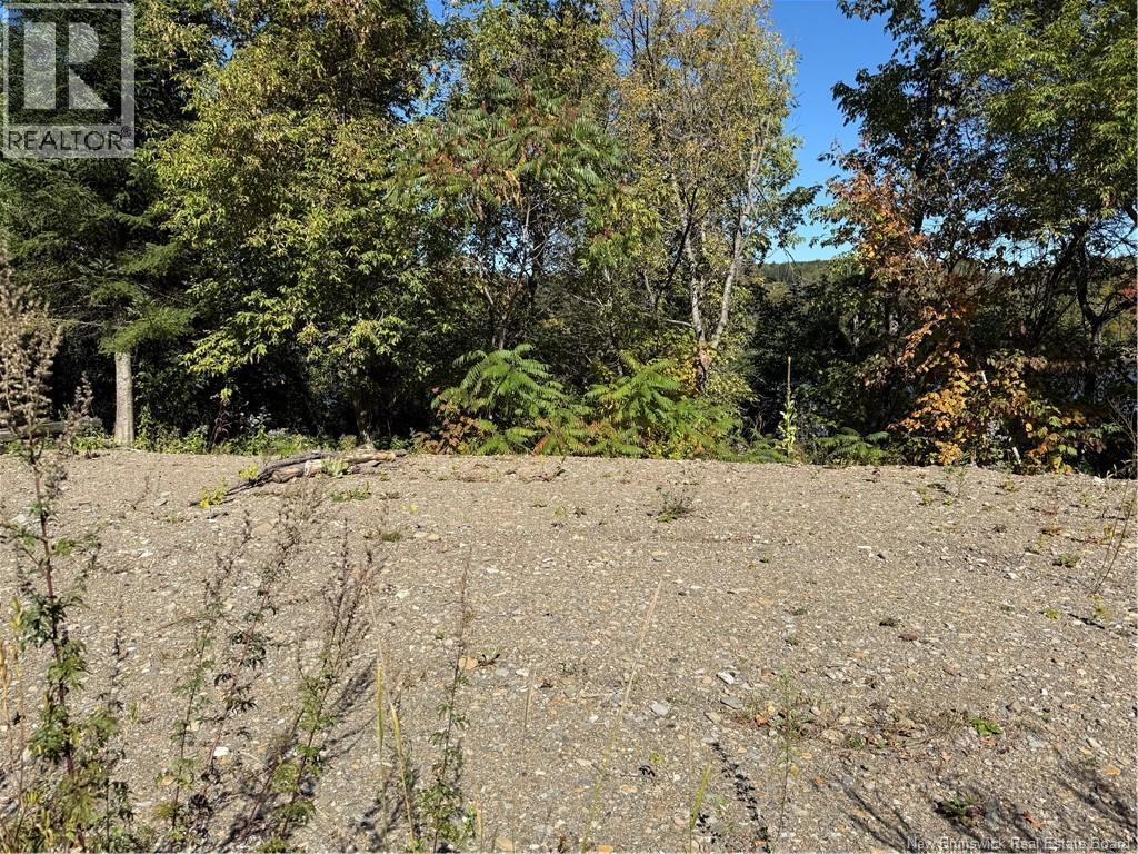 33 Bath Ferry Road, Wicklow, New Brunswick E7L 3S7 - Photo 8 - NB148554