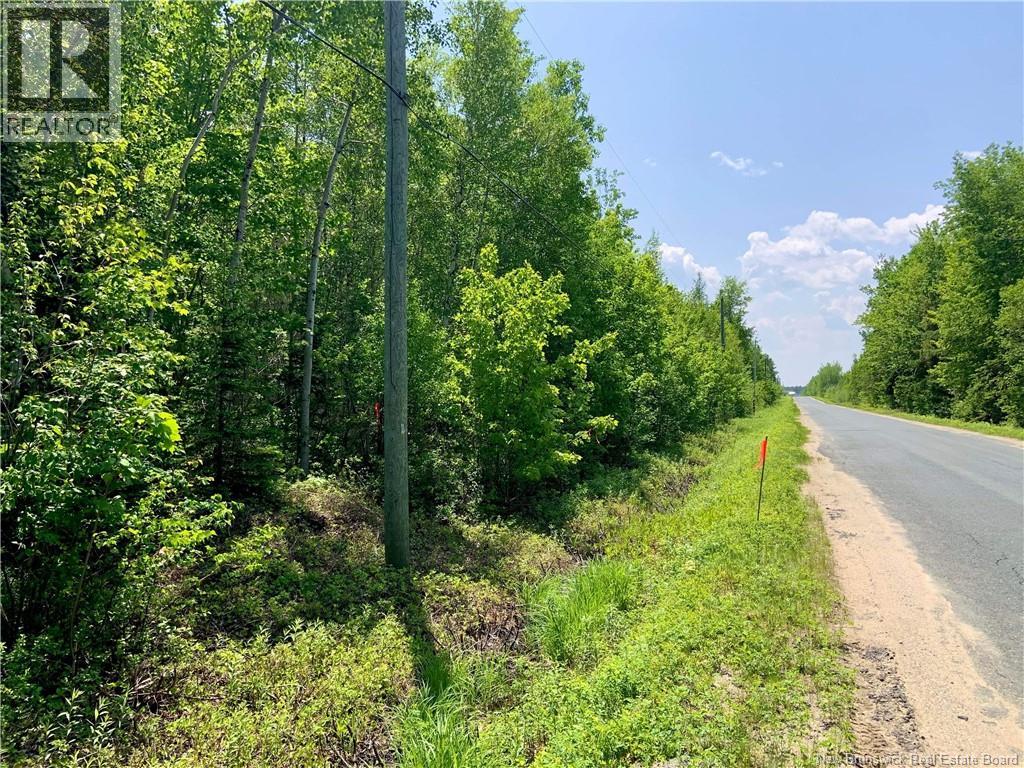 Lot North Black River, Black River-Hardwicke, New Brunswick  E1N 5T3 - Photo 10 - NB148305