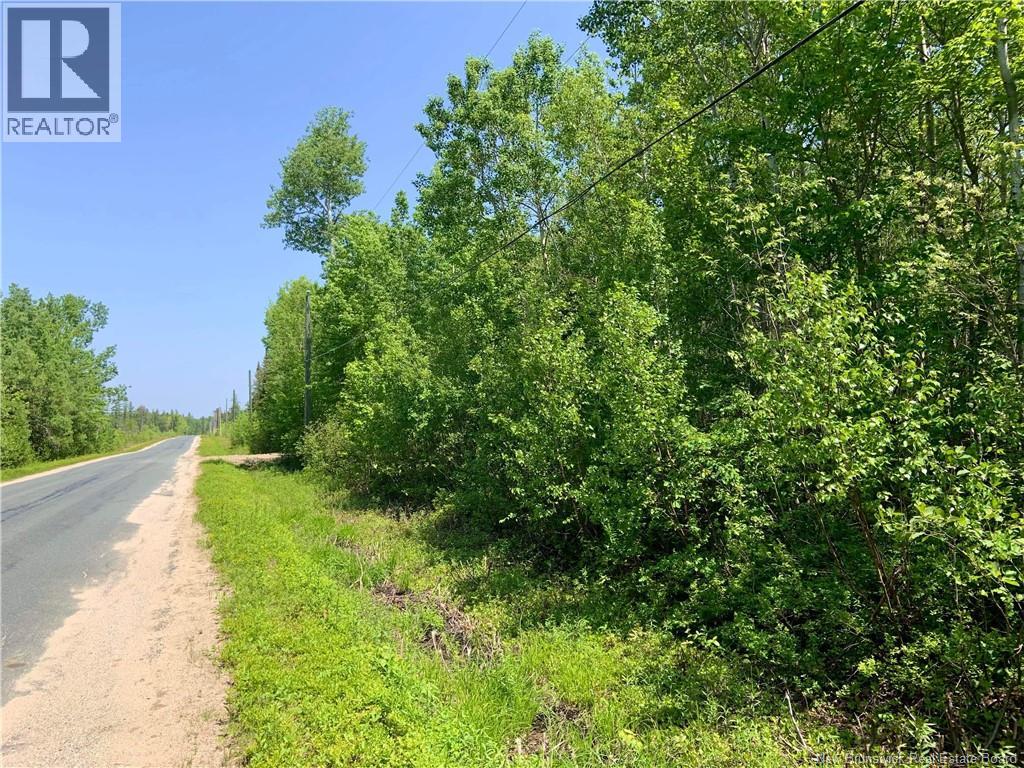 Lot North Black River, Black River-Hardwicke, New Brunswick  E1N 5T3 - Photo 11 - NB148305