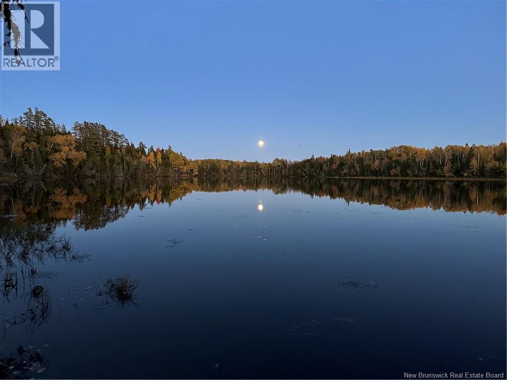 Lot North Black River, Black River-Hardwicke, New Brunswick  E1N 5T3 - Photo 12 - NB148305
