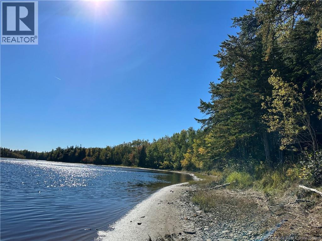 Lot North Black River, Black River-Hardwicke, New Brunswick  E1N 5T3 - Photo 13 - NB148305