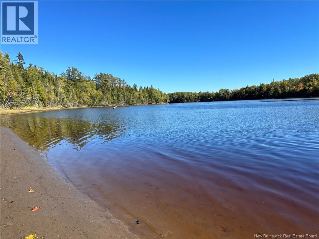 Lot North Black River, Black River-Hardwicke, New Brunswick  E1N 5T3 - Photo 14 - NB148305