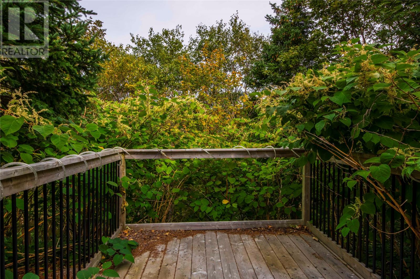 24 Park Avenue, Mount Pearl — photo 42