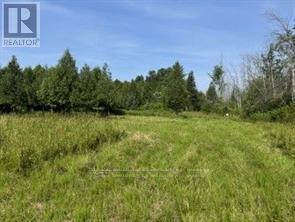 12992 #7 Highway, Lanark Highlands, Ontario  K7C 3P1 - Photo 4 - X13838338