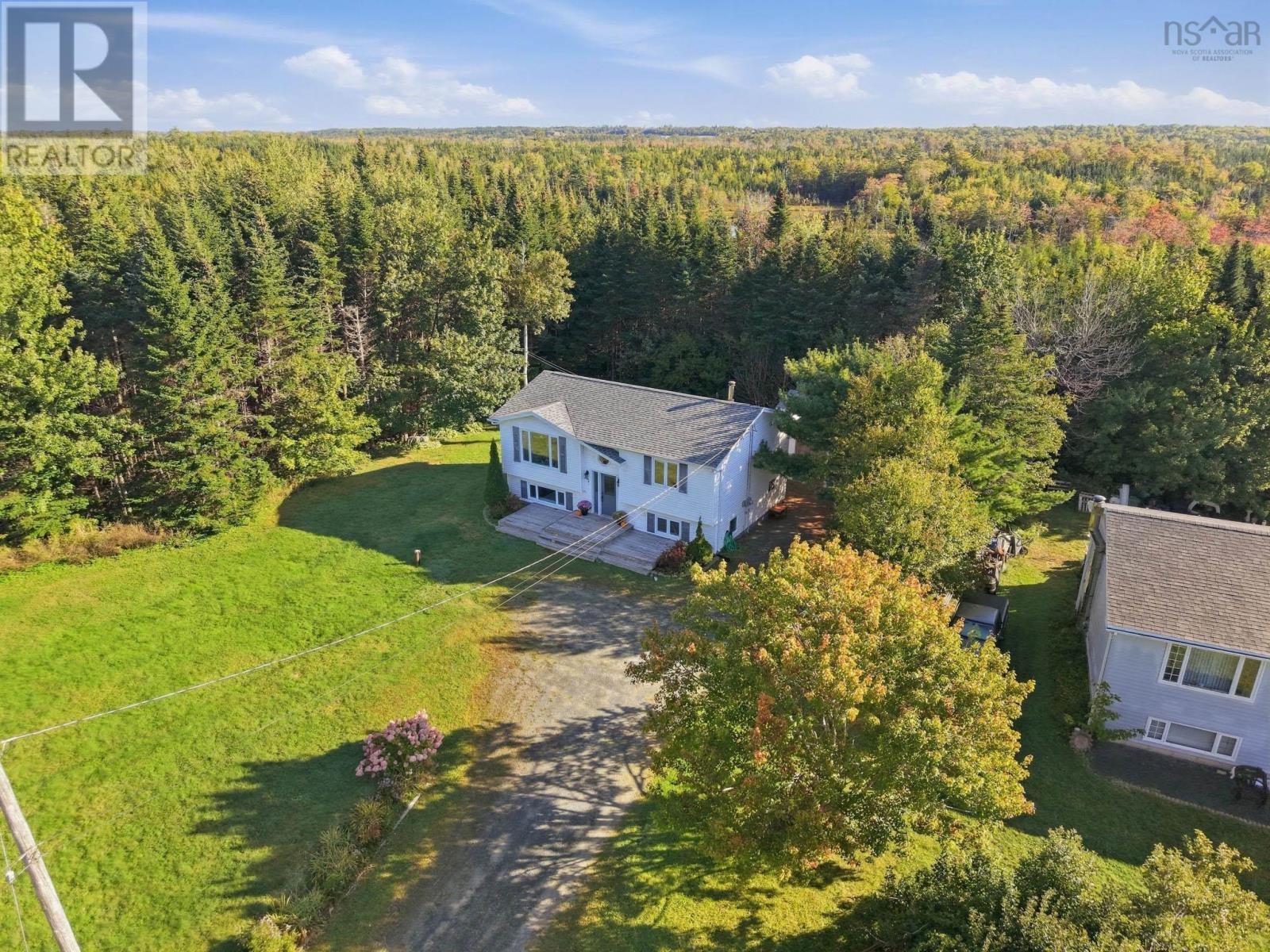 picture 35