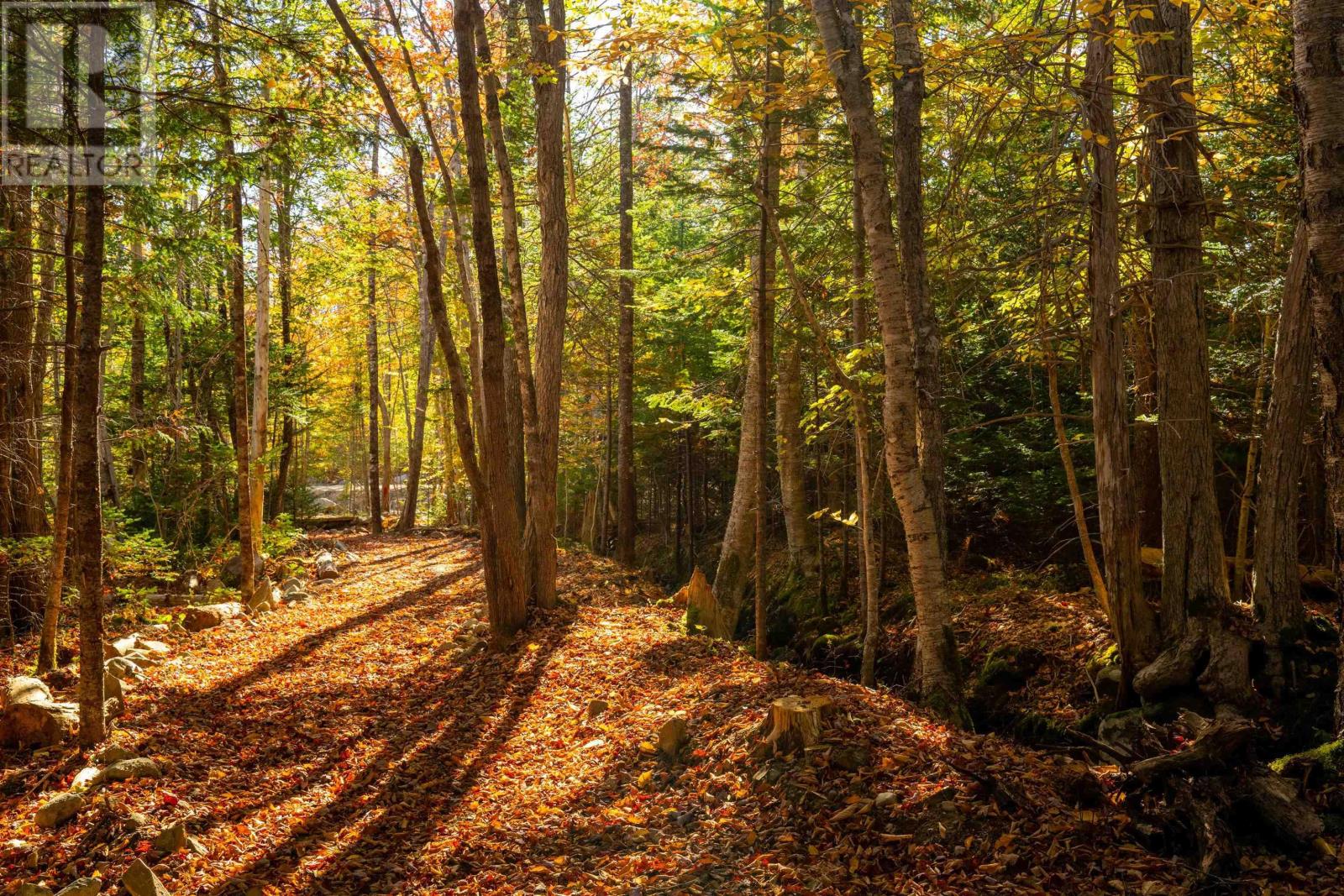 Lot 9 Little Deer Lane, Chester Basin, Nova Scotia B0J 1K0 - Photo 15 - 202604456