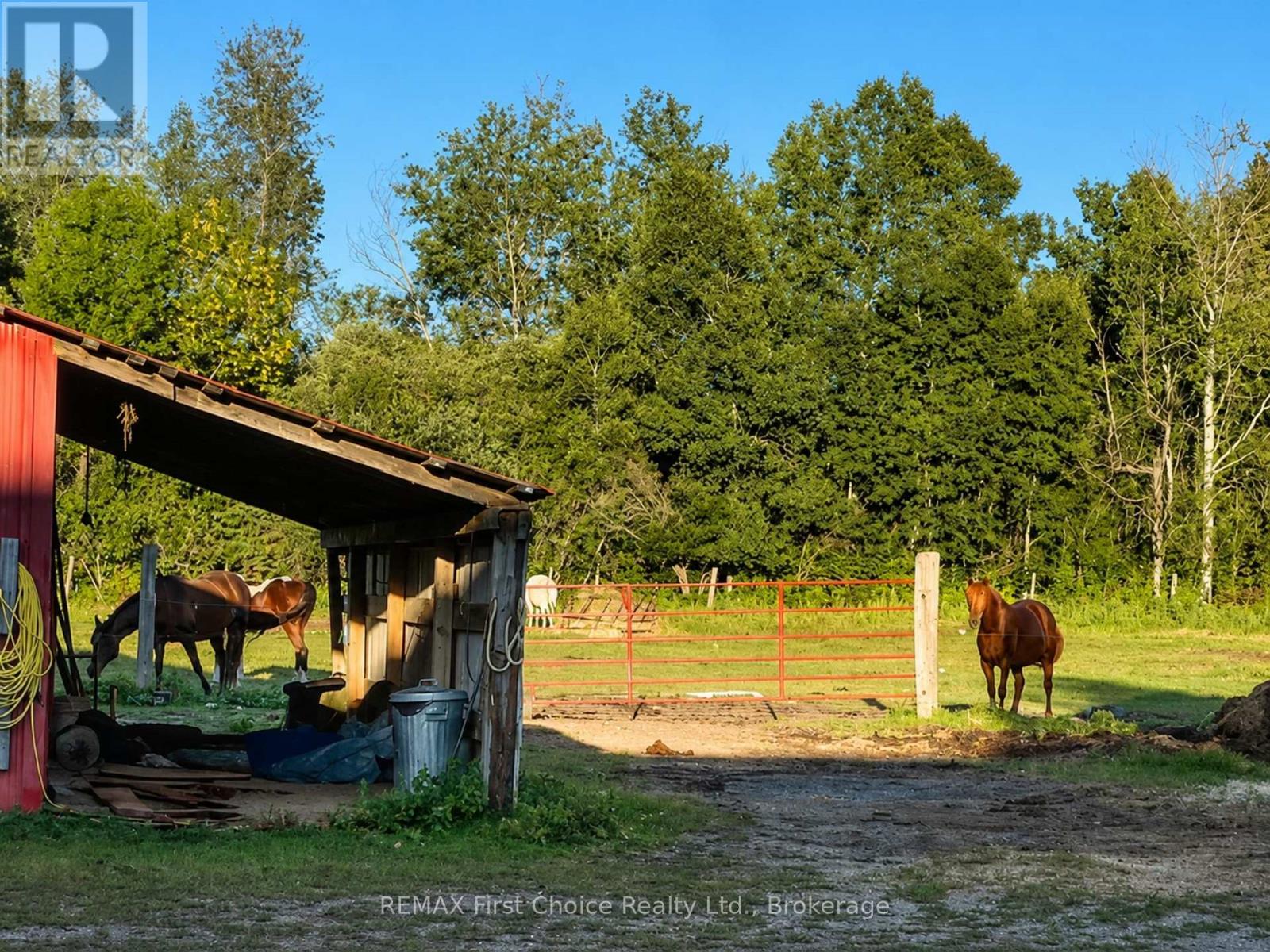 661 Stewart Road, Alberton, Ontario  P9A 3M2 - Photo 8 - X13727718