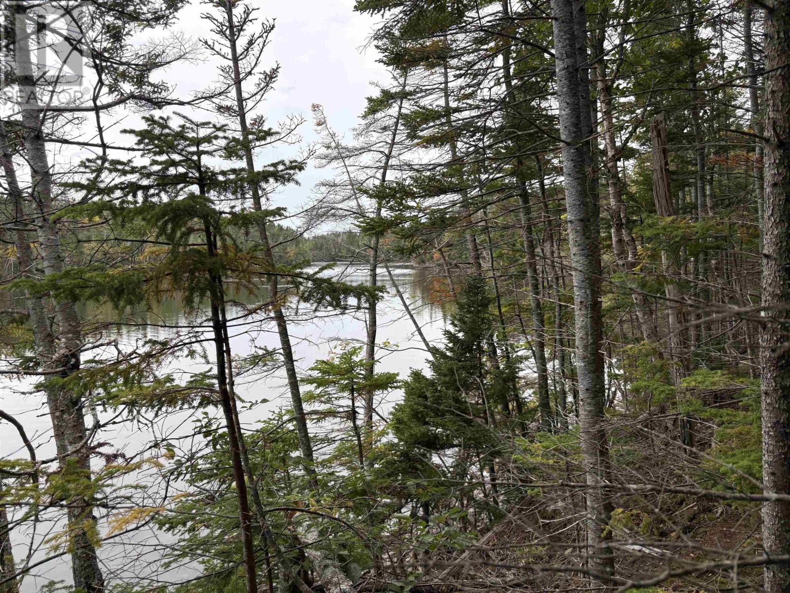 Lot Highway 4, River Tillard, Nova Scotia  B0E 2X0 - Photo 10 - 202623658