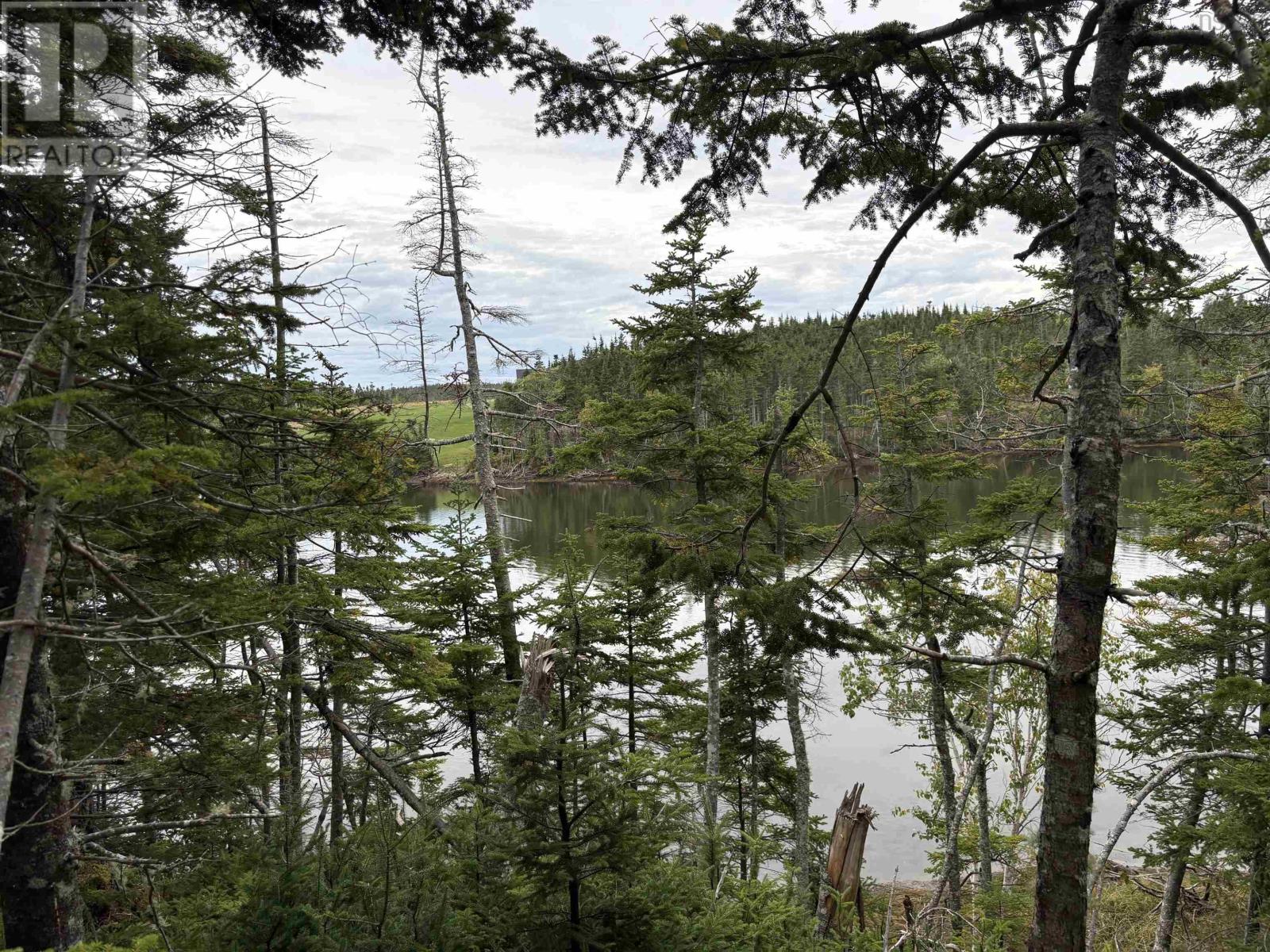 Lot Highway 4, River Tillard, Nova Scotia  B0E 2X0 - Photo 11 - 202623658