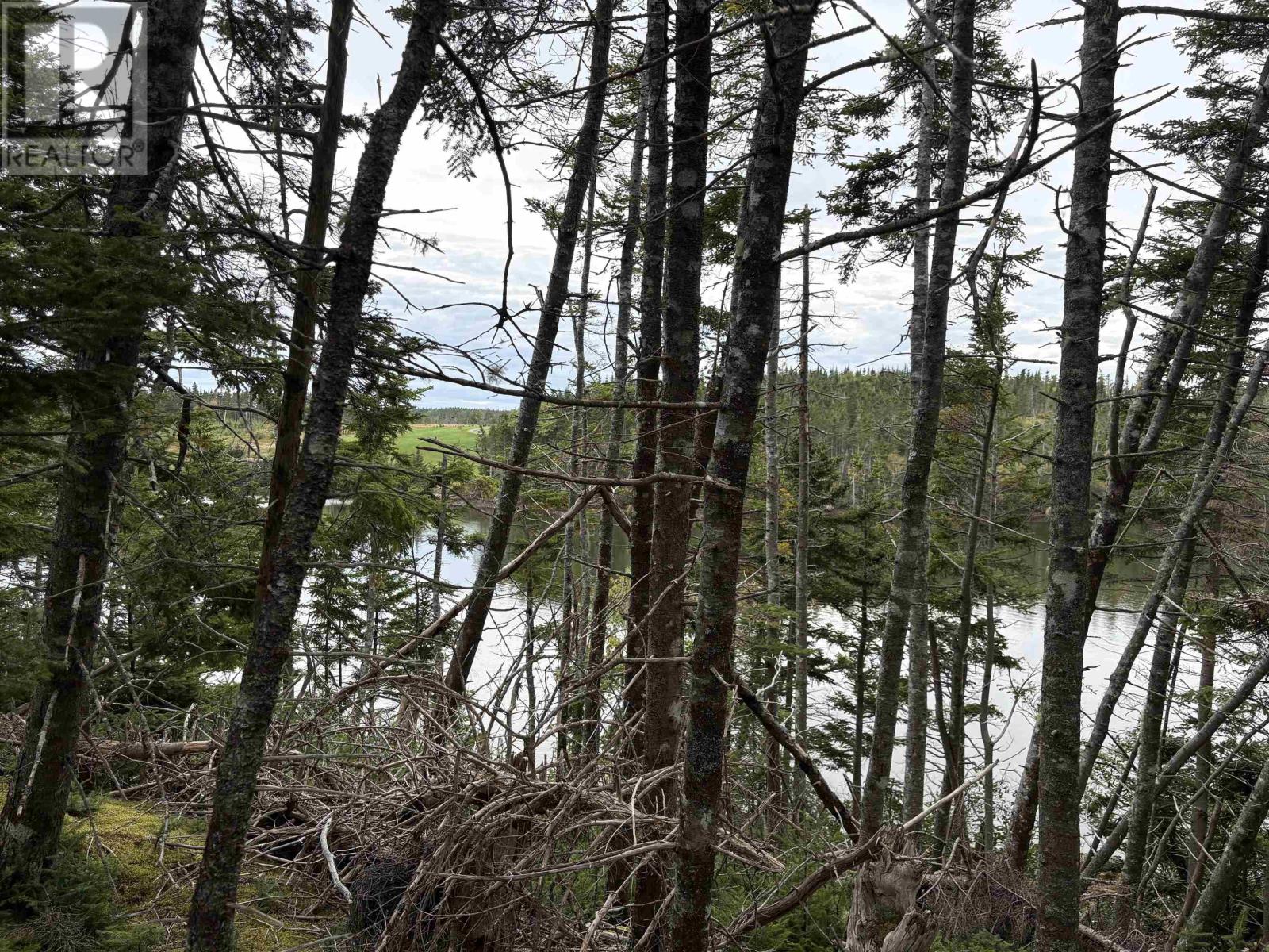 Lot Highway 4, River Tillard, Nova Scotia  B0E 2X0 - Photo 9 - 202623658