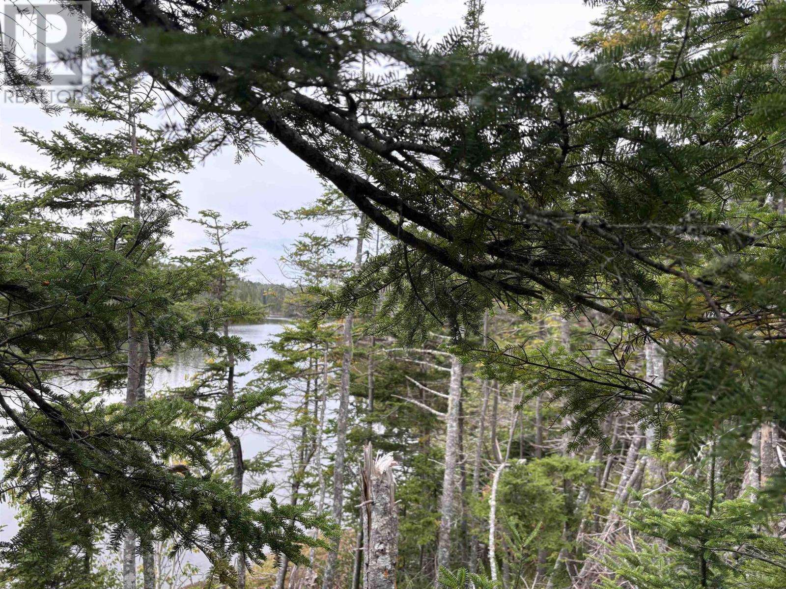 Lot Highway 4, River Tillard, Nova Scotia  B0E 2X0 - Photo 12 - 202623658