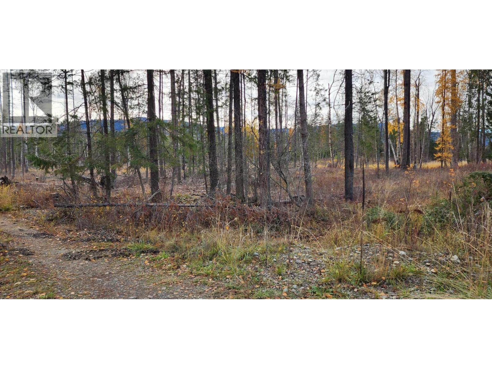 38 Campbell Road, Cherryville, British Columbia  V0E 2G3 - Photo 2 - 10375506