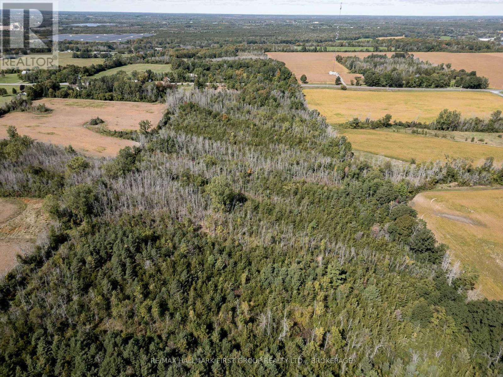 00 Palace Road, Greater Napanee, Ontario  K7R 3L2 - Photo 22 - X13839198