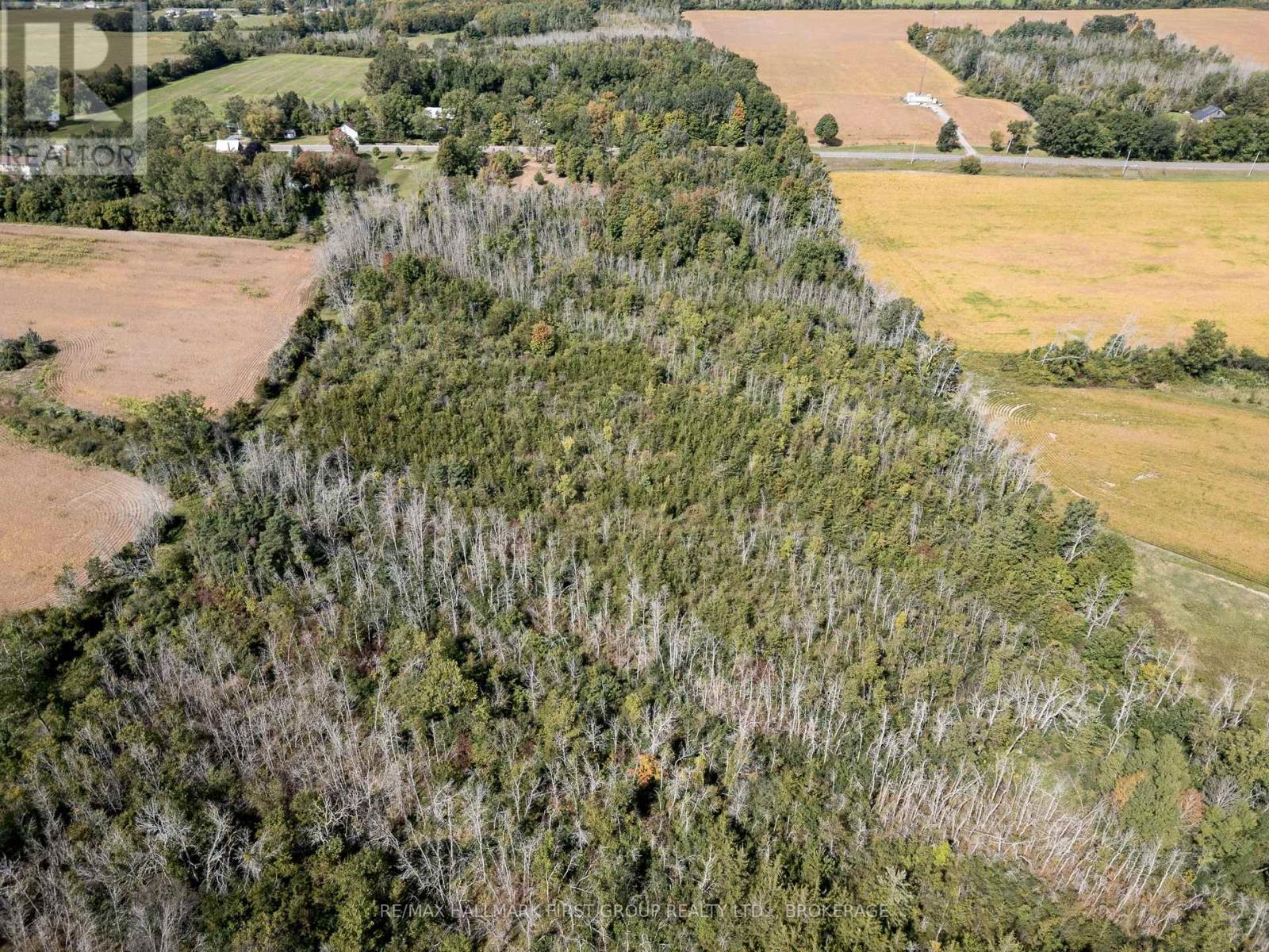 00 Palace Road, Greater Napanee, Ontario  K7R 3L2 - Photo 23 - X13839198