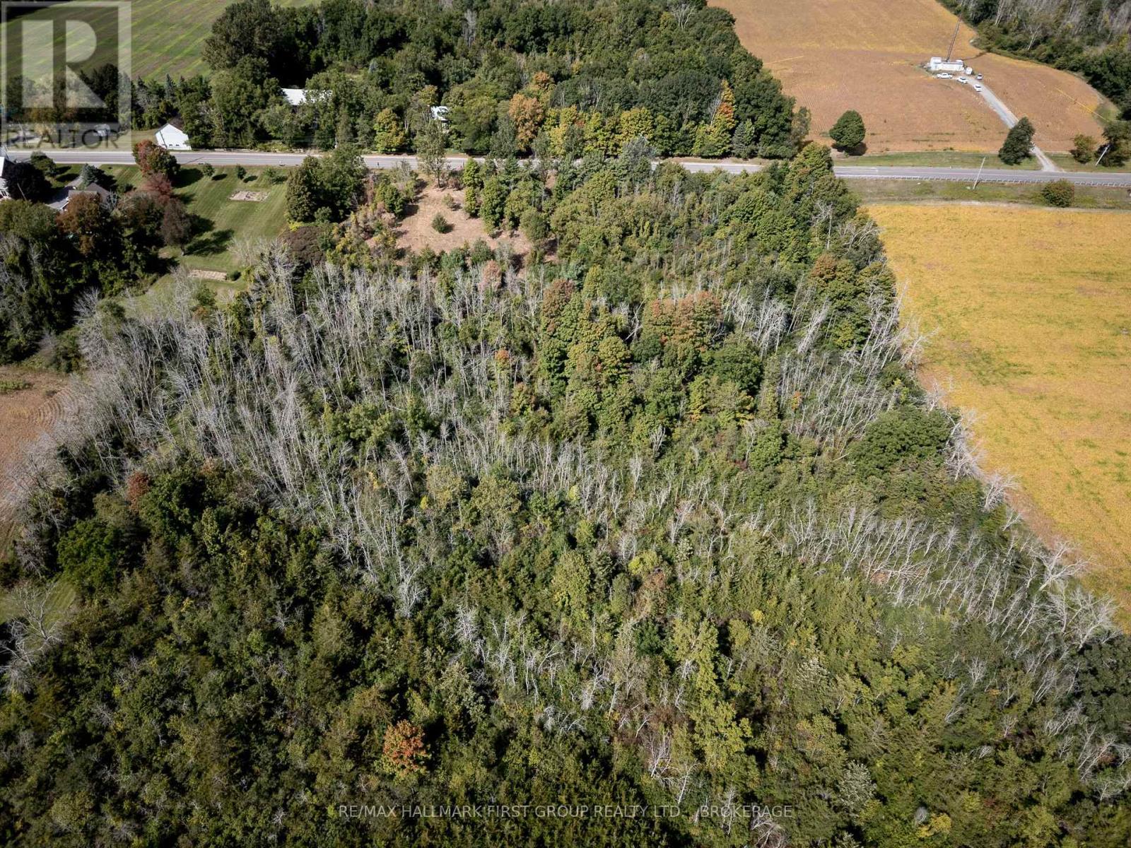 00 Palace Road, Greater Napanee, Ontario  K7R 3L2 - Photo 24 - X13839198