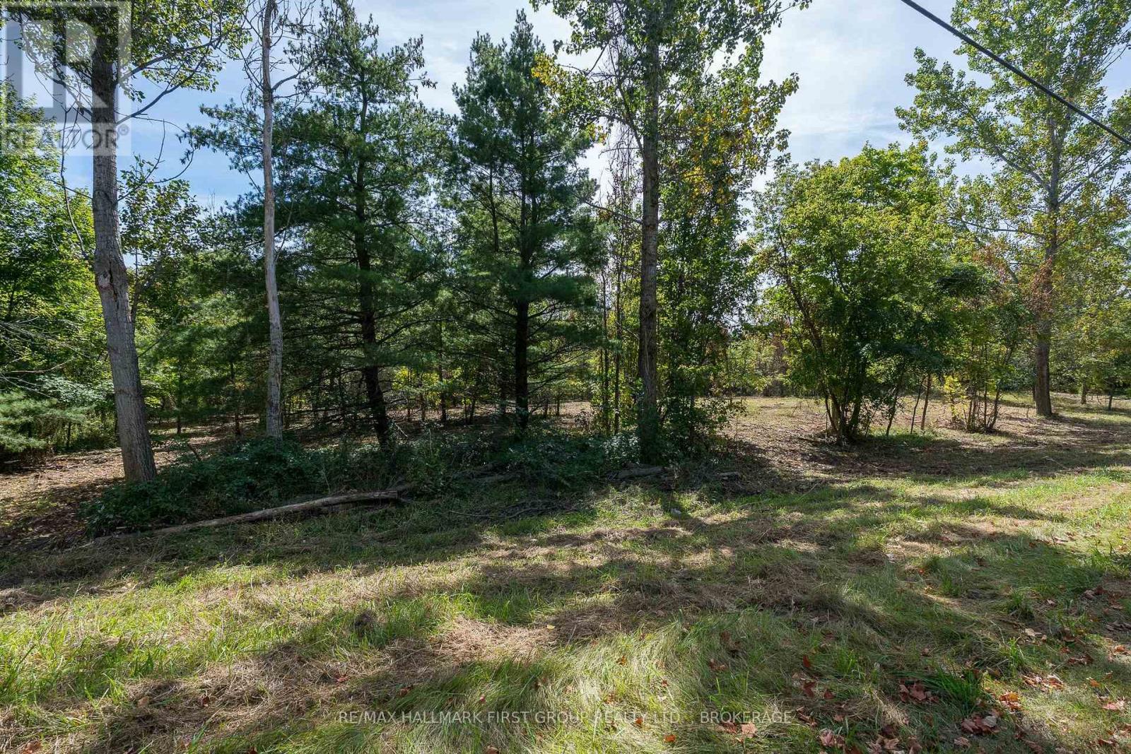 00 Palace Road, Greater Napanee, Ontario  K7R 3L2 - Photo 4 - X13839198