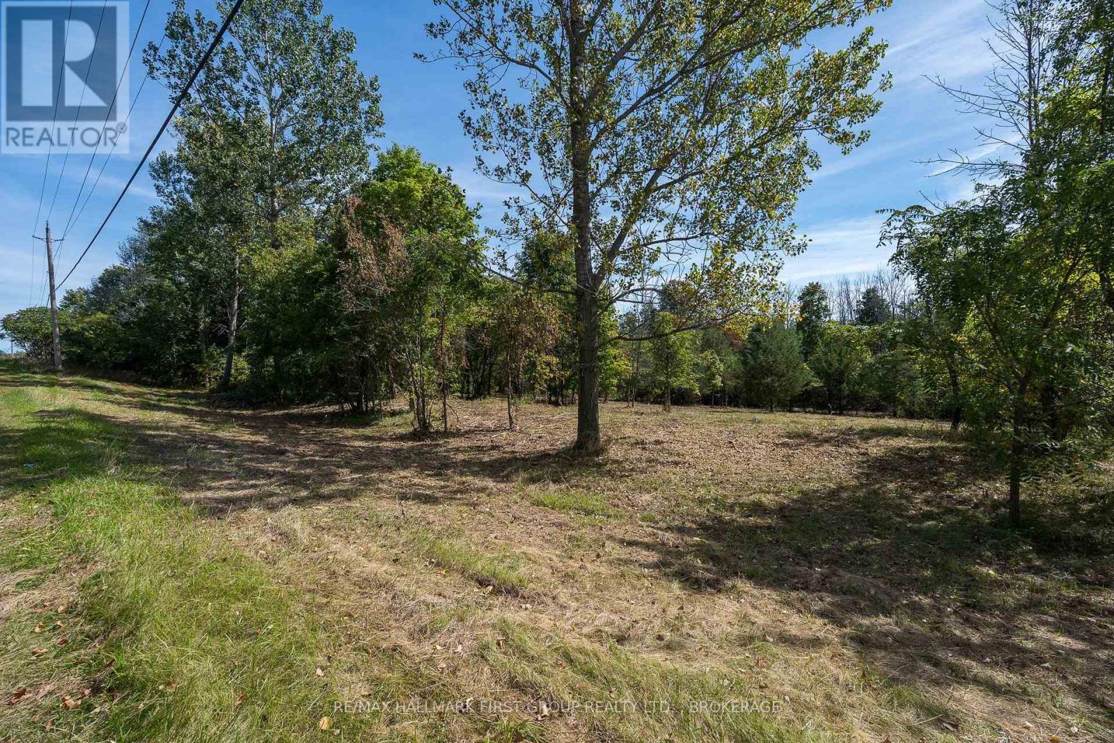 00 Palace Road, Greater Napanee, Ontario  K7R 3L2 - Photo 5 - X13839198