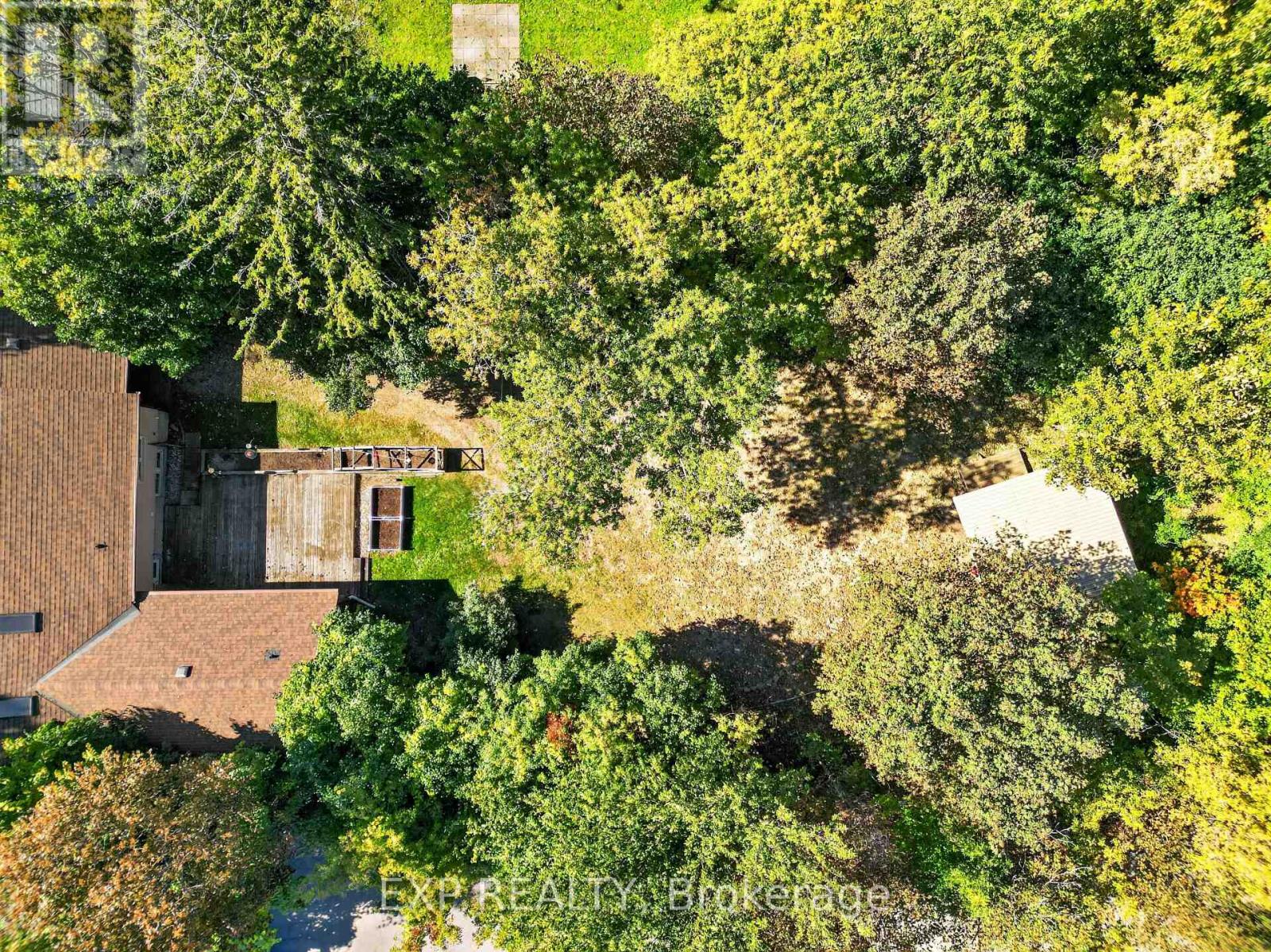 433 Pleasant Park Road, Ottawa, Ontario  K1H 5M9 - Photo 47 - X13837088