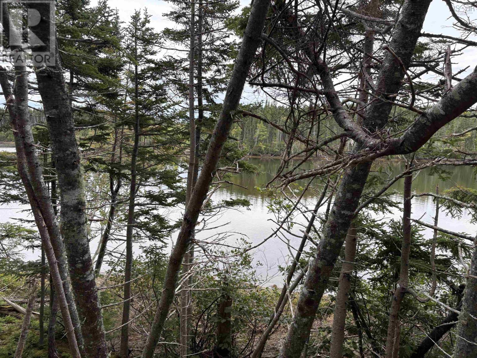 Lot Highway 4, River Tillard, Nova Scotia  B0E 2X0 - Photo 13 - 202623658