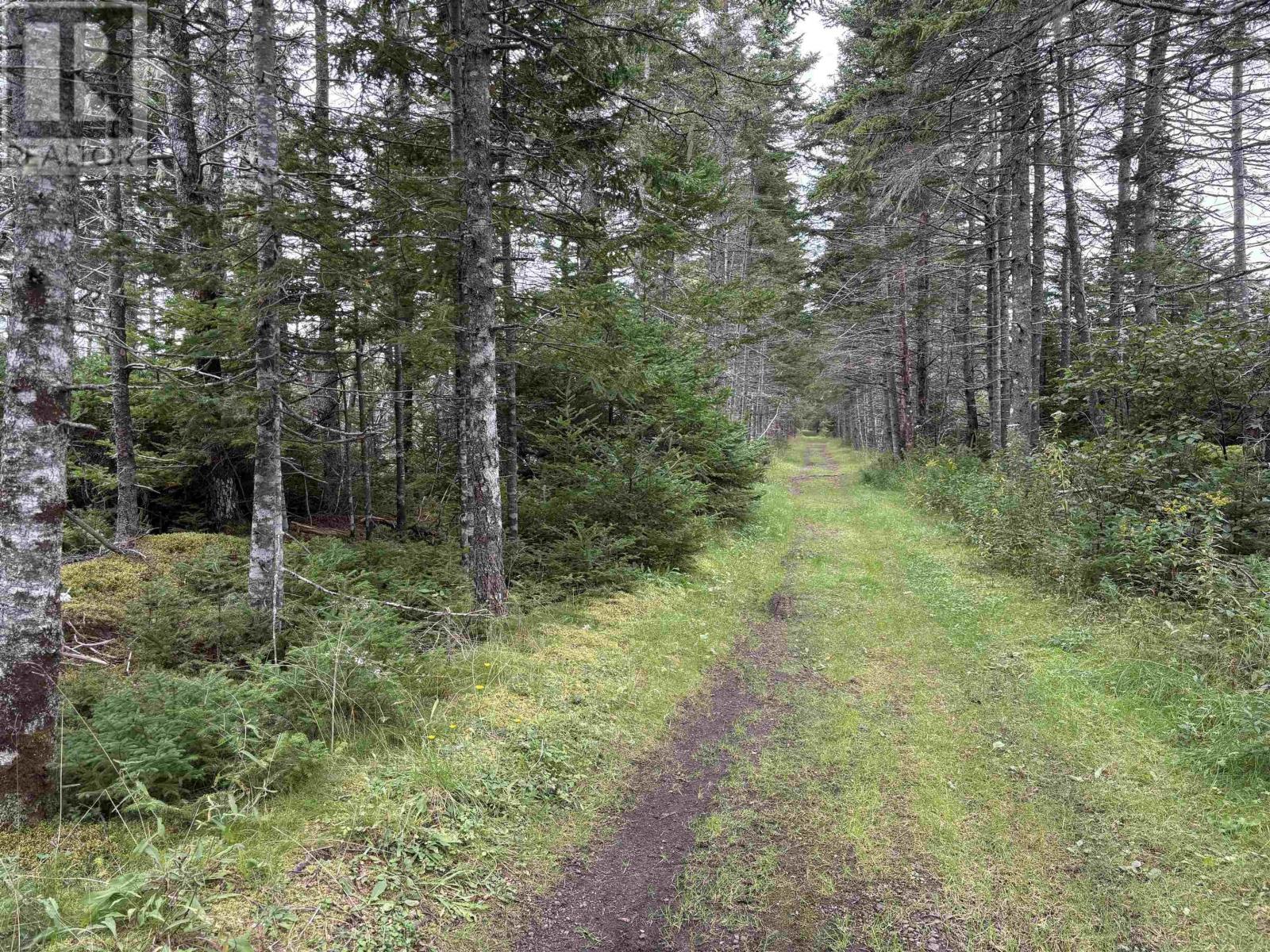 Lot Highway 4, River Tillard, Nova Scotia  B0E 2X0 - Photo 20 - 202623658