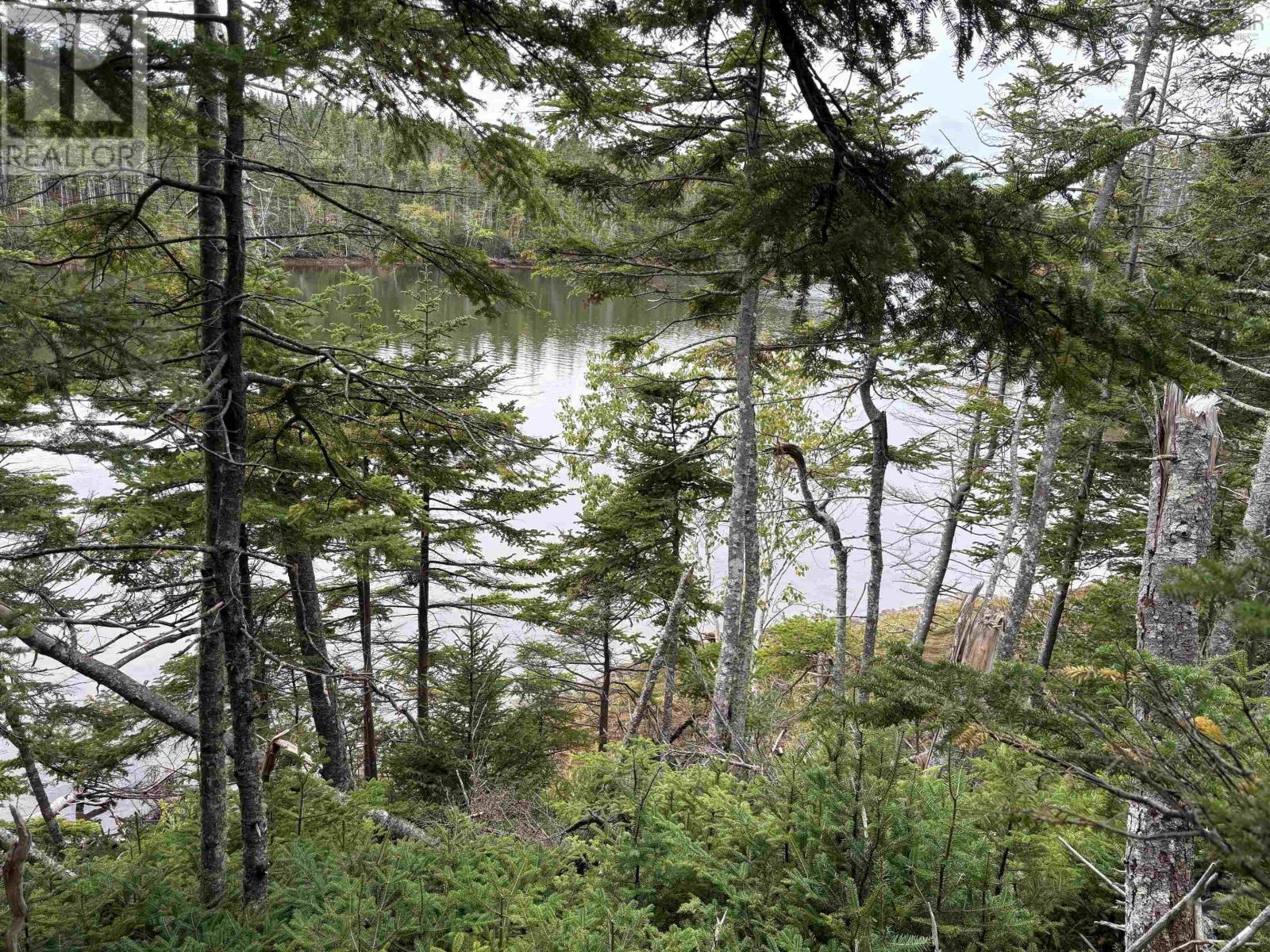 Lot Highway 4, River Tillard, Nova Scotia  B0E 2X0 - Photo 14 - 202623658