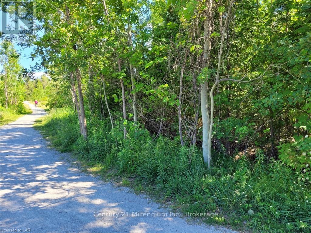 11325 26 Highway, Collingwood, Ontario L9Y 5H8 - Photo 1 - S13839254