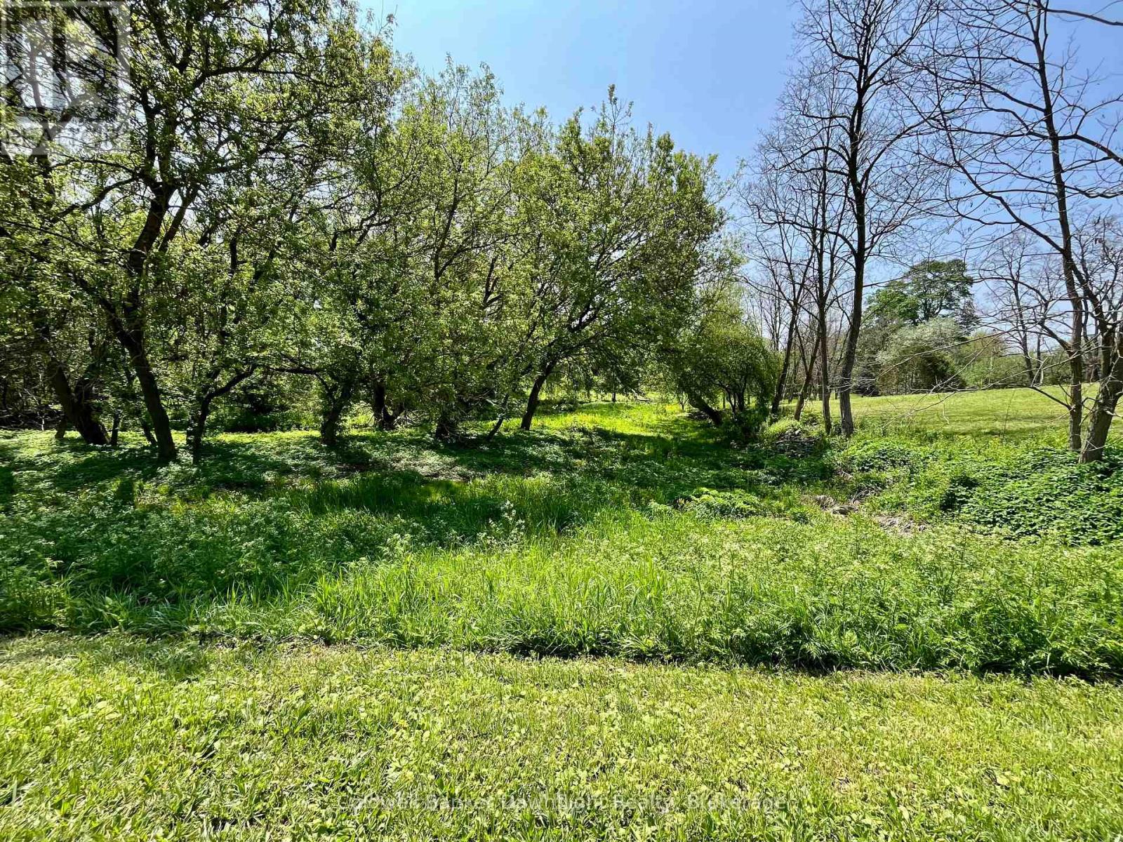 Lt 214 215 Albert Street, Howick, Ontario N0G 1X0 - Photo 3 - X13839242