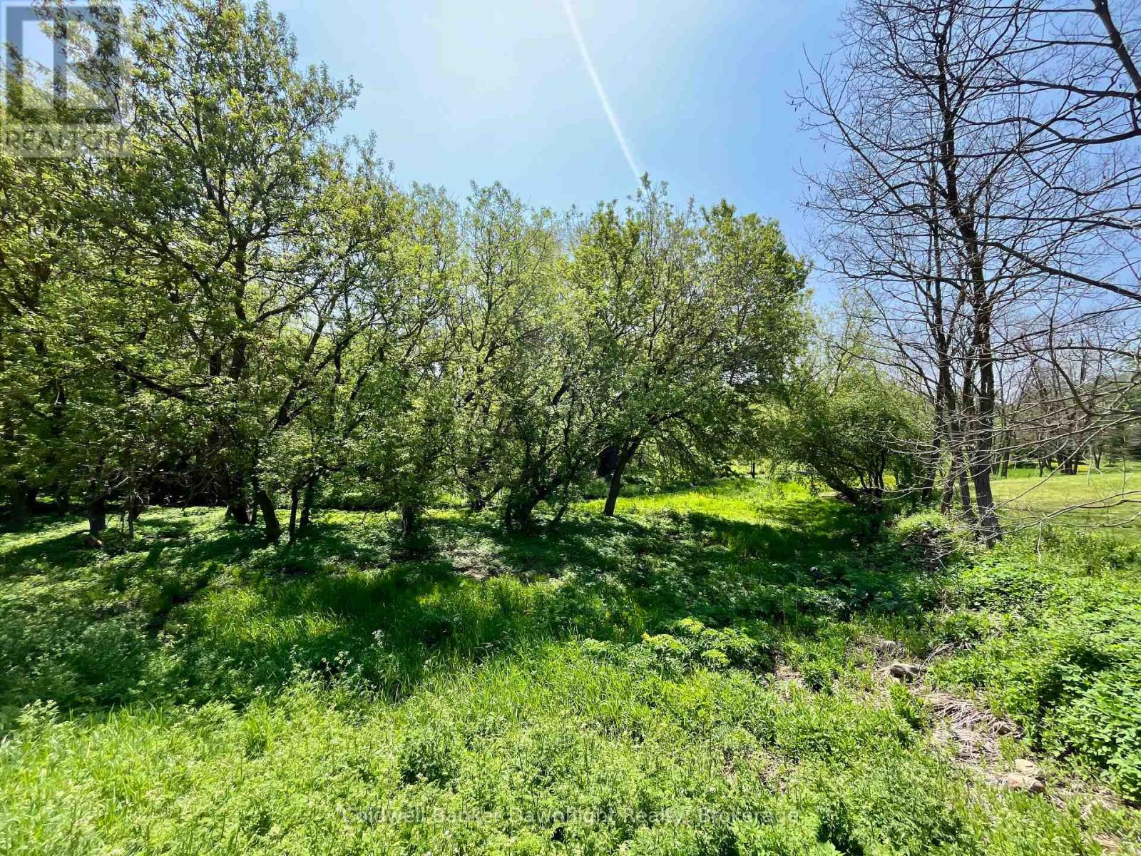 Lt 214 215 Albert Street, Howick, Ontario N0G 1X0 - Photo 6 - X13839242