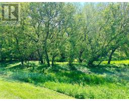 LT 214 215 ALBERT STREET, howick, Ontario