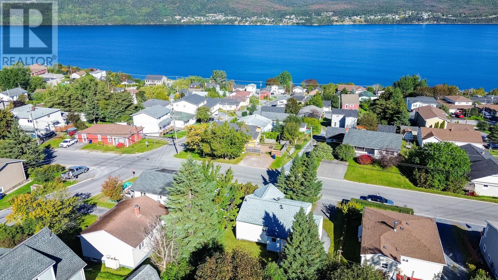 70 Clarence Street photo 4