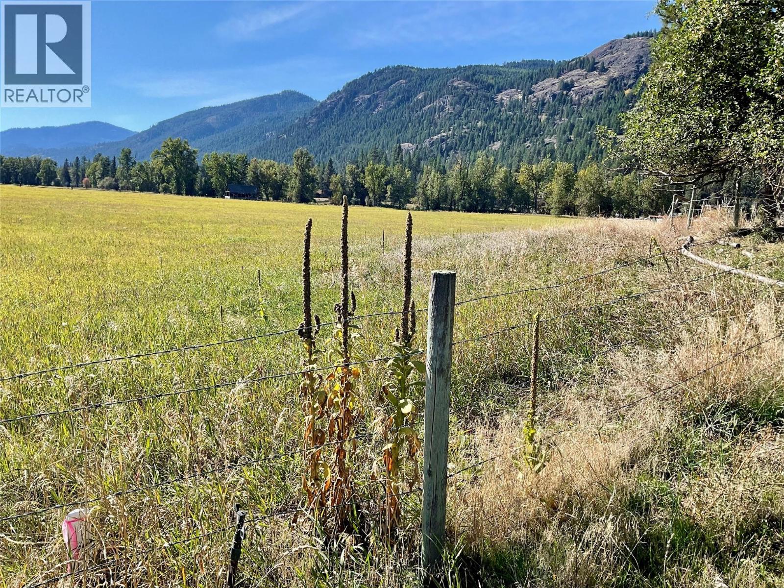 364 Fourth Avenue, Midway, British Columbia