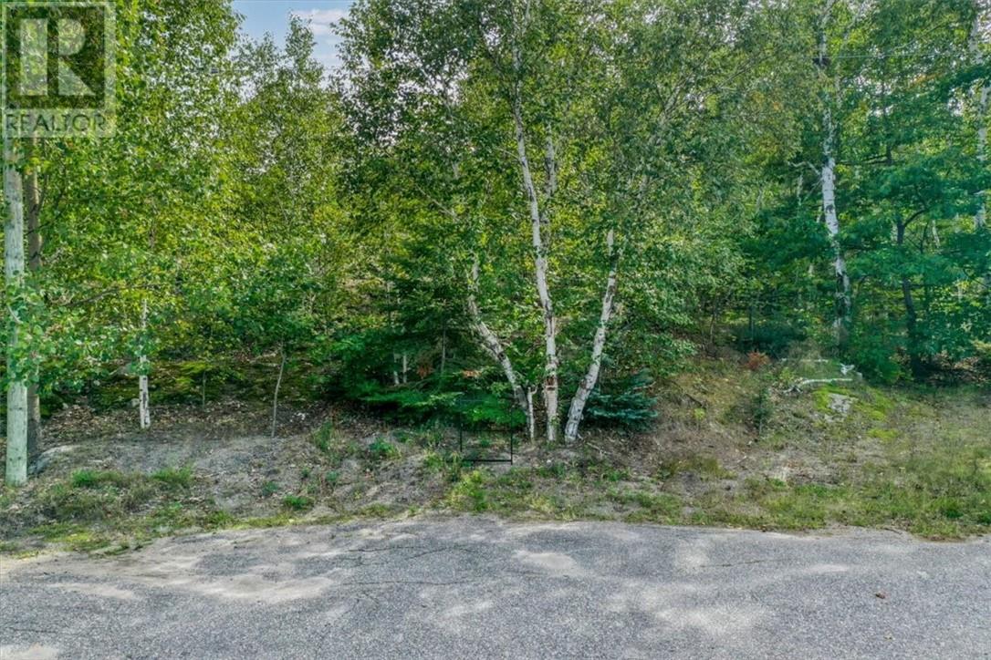 0 Marion Street, Sudbury, Ontario  P3E 3J2 - Photo 5 - 2130455