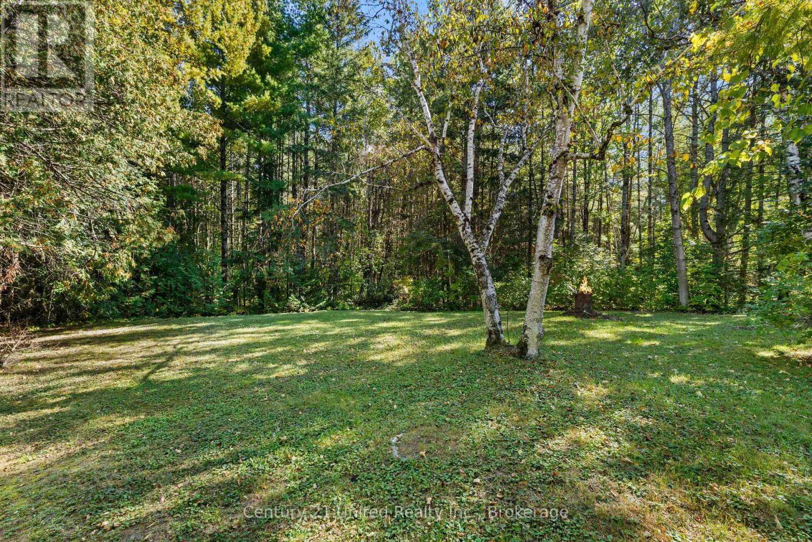 3795 Highway 28, Douro-Dummer, Ontario  K0L 2H0 - Photo 28 - X13839540